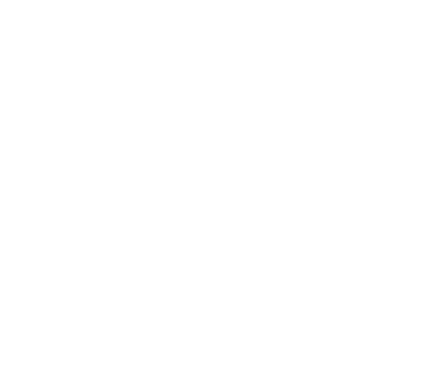 Mt Robert 