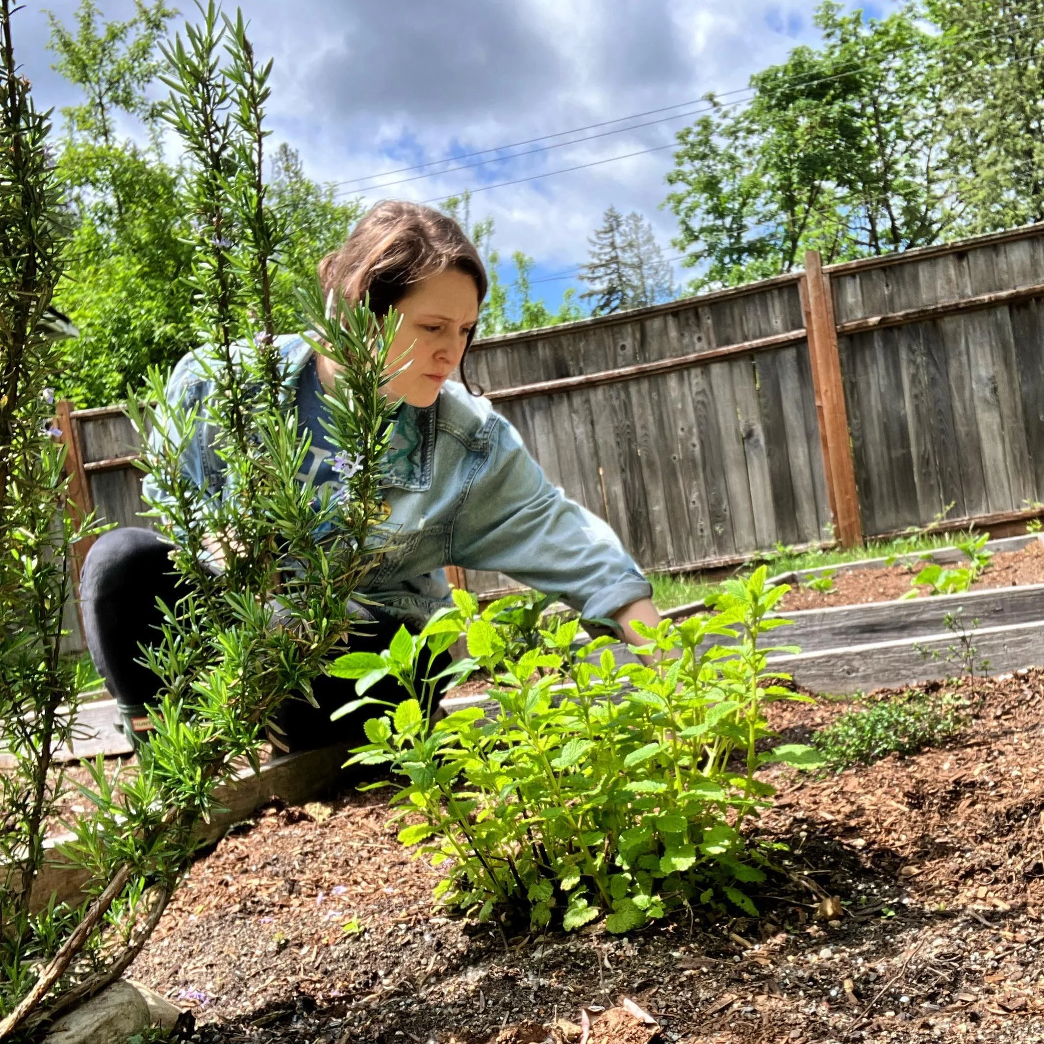 Remember to go outside! 

My garden had been neglected the last couple summers, so I&rsquo;m hoping this time around I can cultivate more than just weeds!