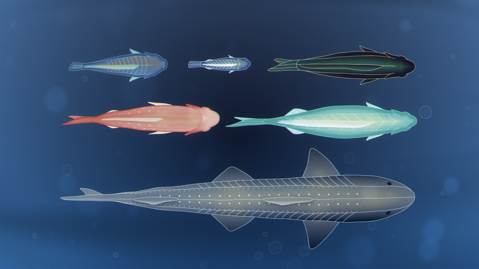 02_fish_v02 (0-00-05-00).png