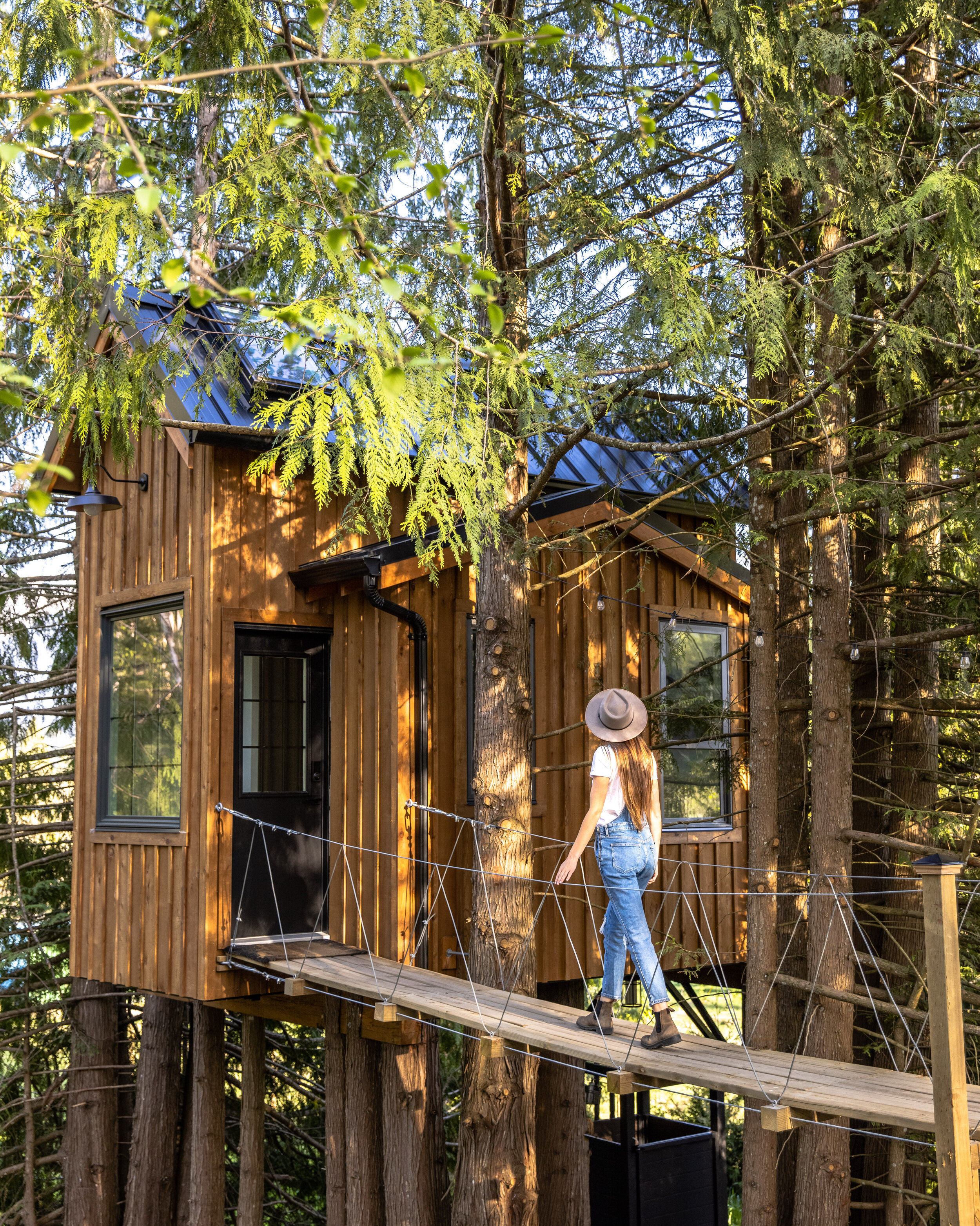 Treehouse-13.jpg