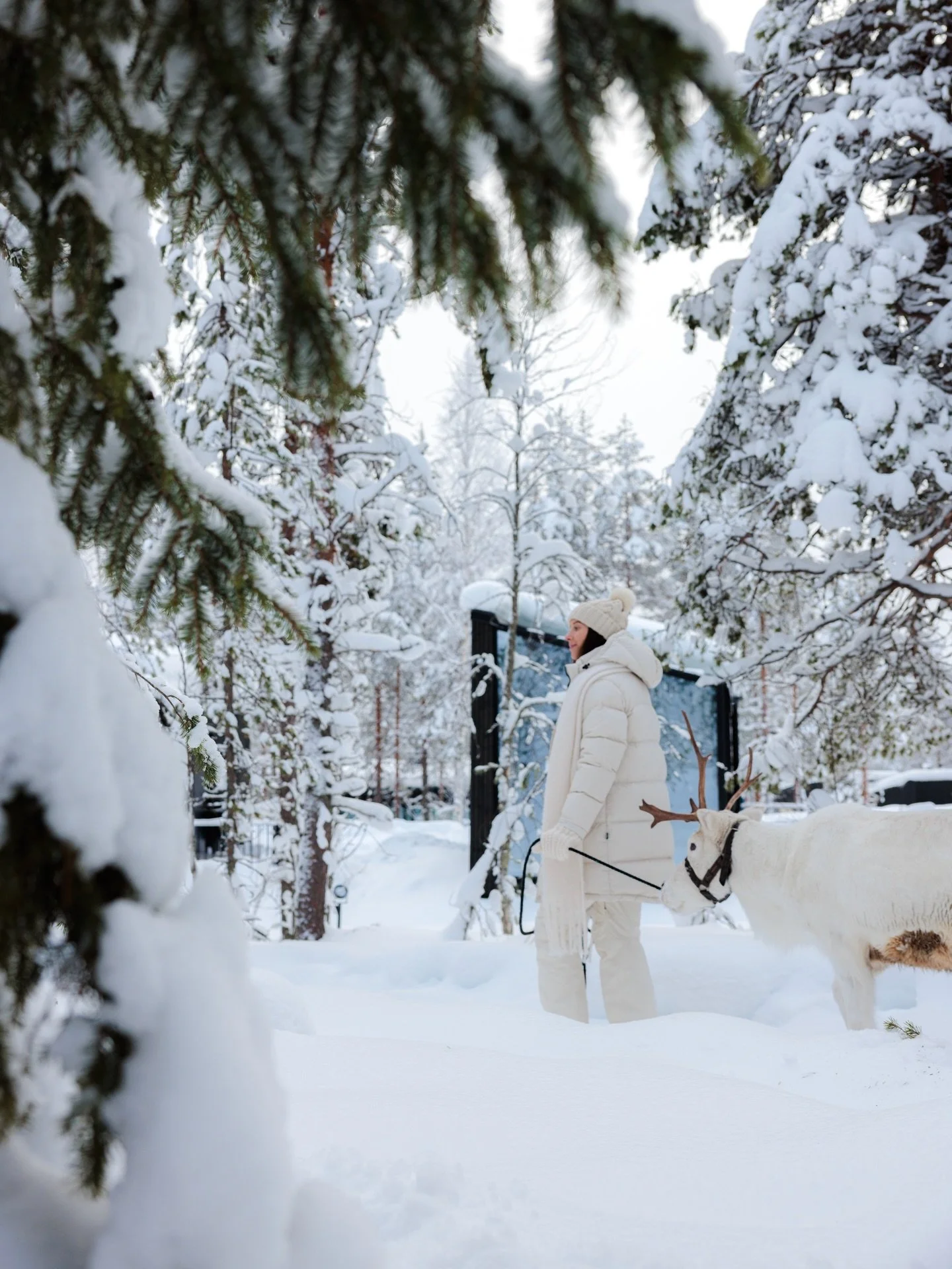 Postcards from a magical stay at @haloigloos ❄️✨

#lapland #finland #rovaniemi #finnishlapland #visitfinland🇫🇮
