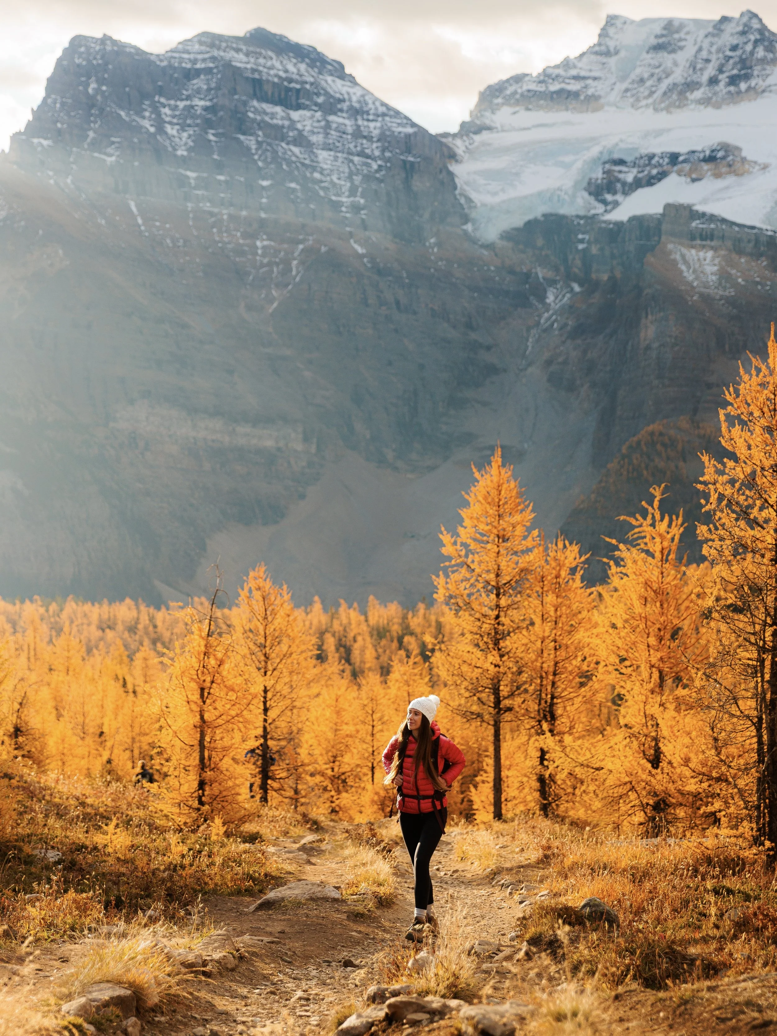 Guide to Chasing Larches in the Canadian Rockies