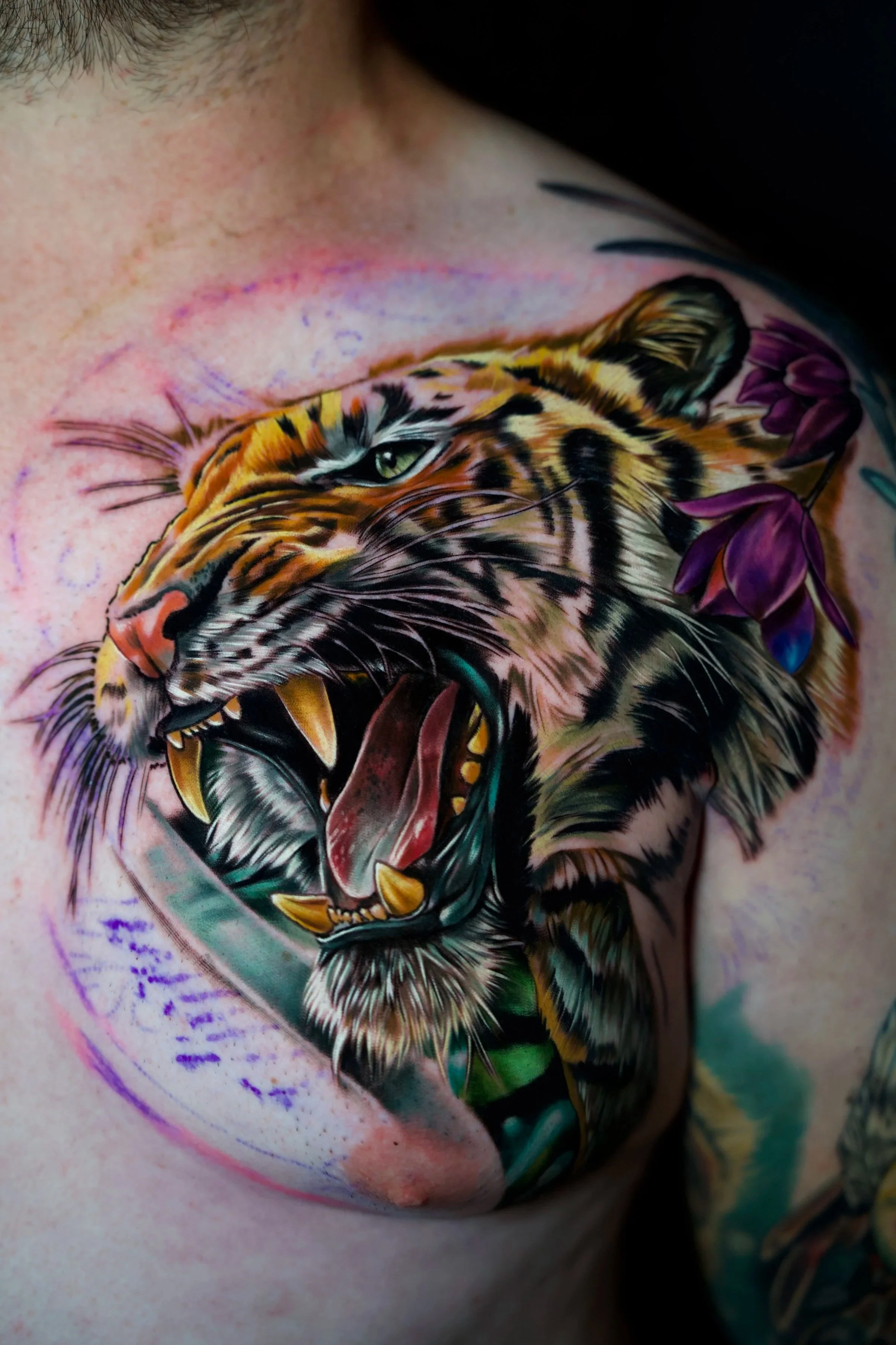 Colorful tattoo of a fierce, roaring tiger with purple flowers on the person's chest.
