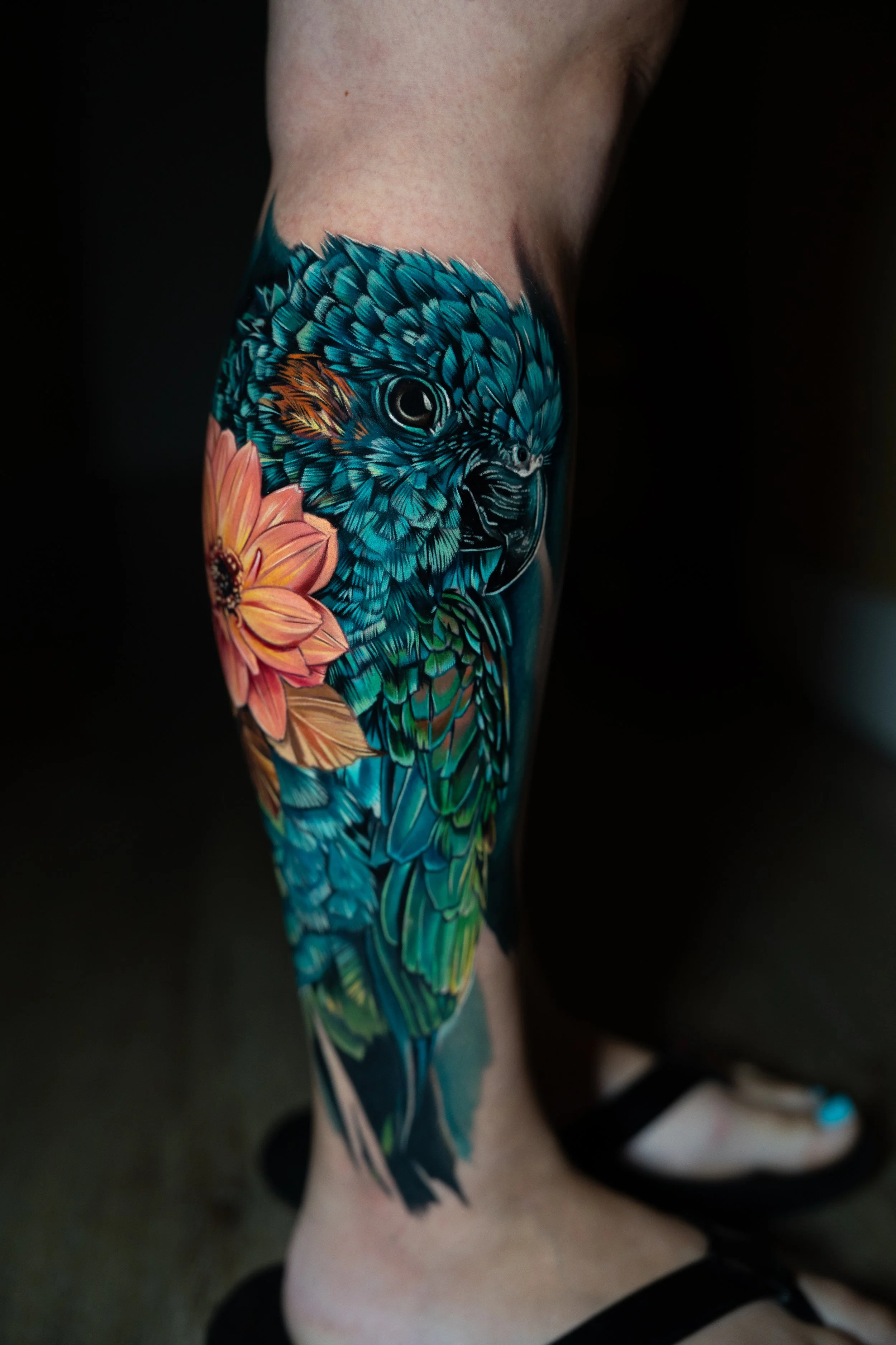 Colorful tattoo of a blue parrot with pink flower on person's leg