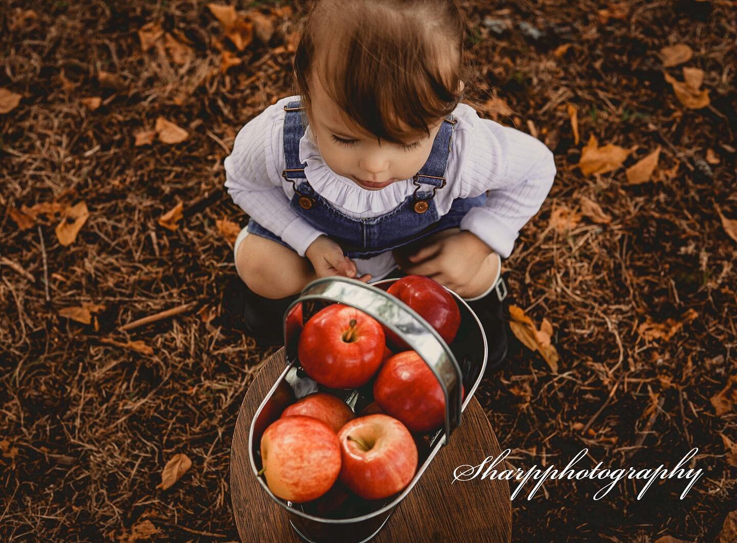 🇫​🇦​🇱​🇱​ 🇲​🇮​🇳​🇮​&rsquo;🇸
𝔹𝕠𝕠𝕜 𝕟𝕠𝕨 🍁 
.
.
.
#fallminisessions #fall #fallminis #fallminisession #fall2020 #photo #photography #photooftheday #photoshoot #familytime #family #surreyphorographer #canada🇨🇦 #canonphotography #canadianp