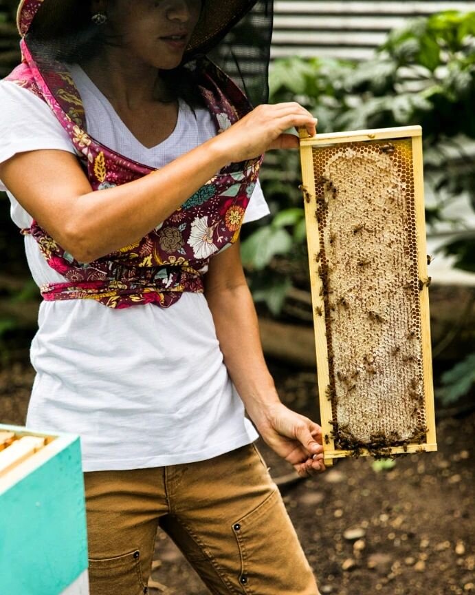 🐝🐝🐝
I'm an hour late in Hawai'i but I still want to wish a Happy 1st International Day of Women in Beekeeping to all mana wahine that foster honey bees worldwide!

#IDWBK
#BeelieveHawaii
#BeekeepingWorldRecord