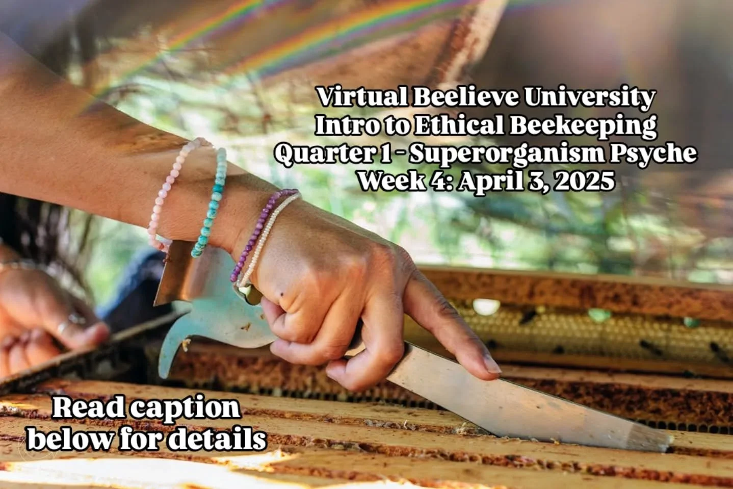 📣 Announcing VBU 2025

In Lecture 4: "Propaganda and a Phenomenon", we discuss contemporary topics like Colony Collapse Disorder and Barack Obama's 2014 Presidential Memorandum advocating for a federal strategy to promote the health of hon