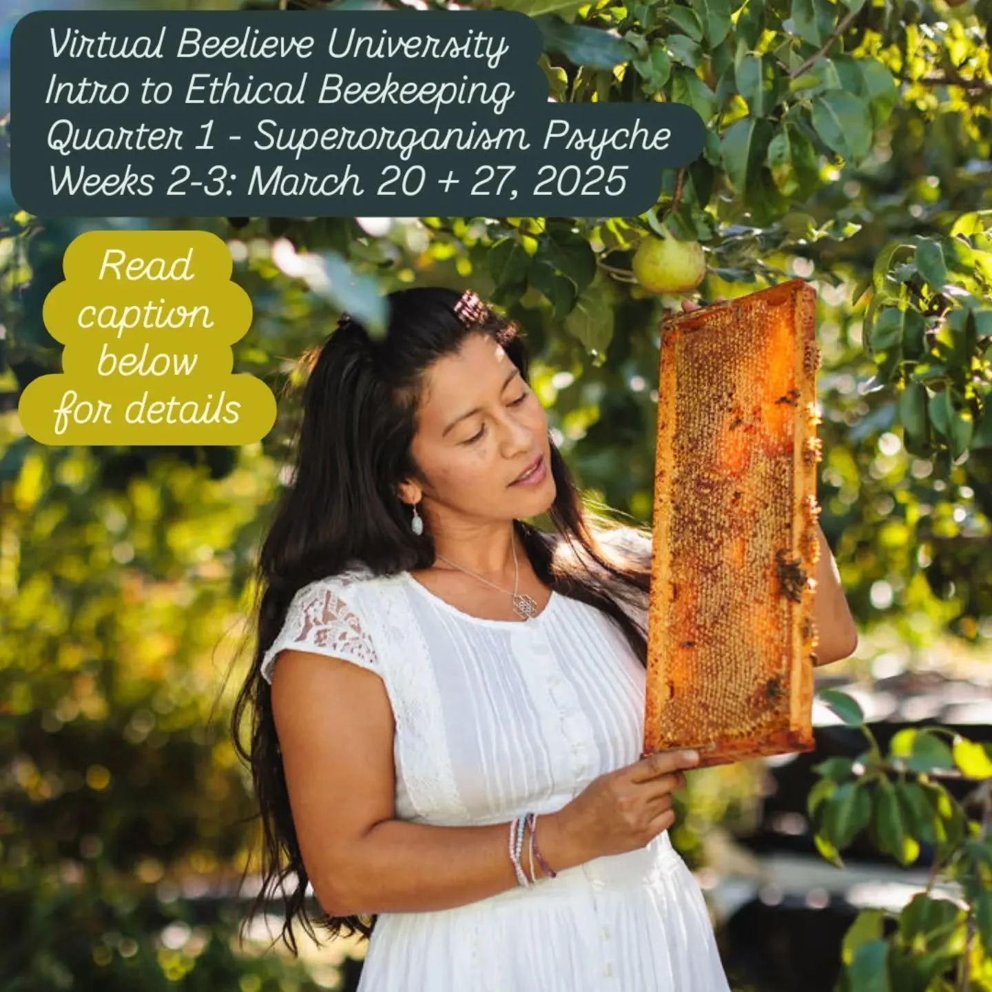 📣 Announcing VBU 2025

"Timeline of Ancient Beekeeping" continues in Week 2 dating back to 800-900 AD. Bees were likely brought to America by the Irish and Norwegians who established posts and pushed southward as far as Rhode Island. Since