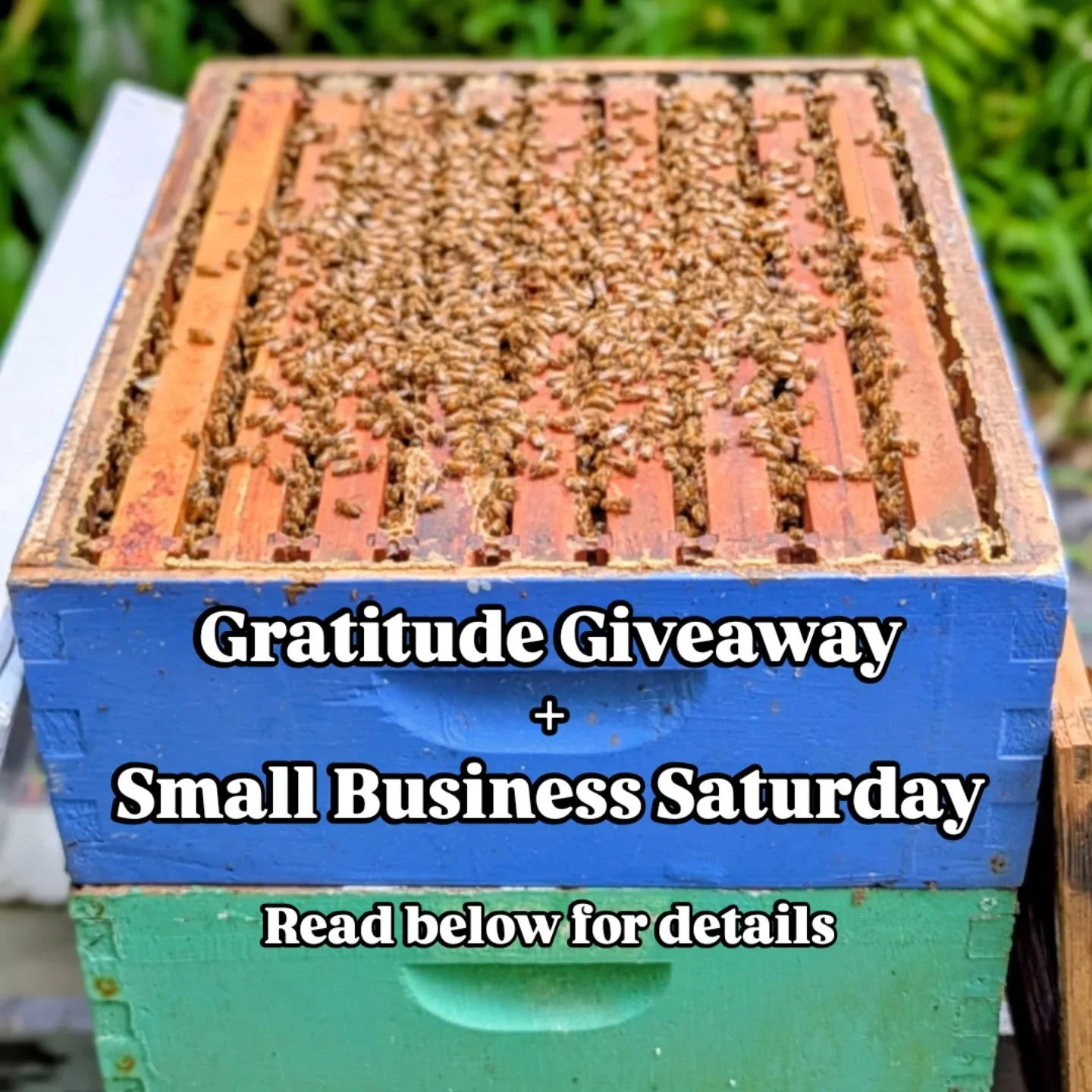 Small Business Saturday is a week away and we are thrilled to announce our first ever Gratitude Giveaway!

A pair of participants will have the opportunity to win our Well-Beeing Gift Set and new logo trucker hat.

Rules to enter...
1. Follow us @bee