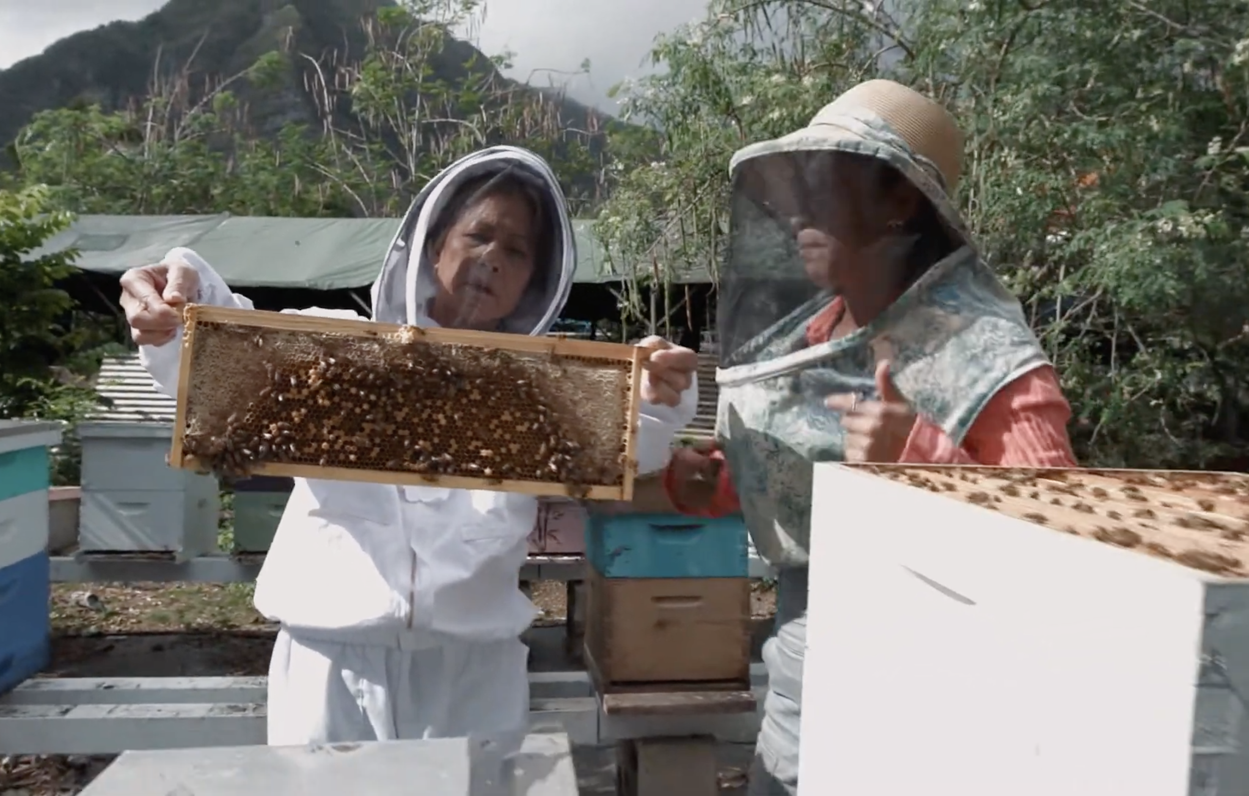 Video: Cool for Kūpuna - EP 14 Waimanalo