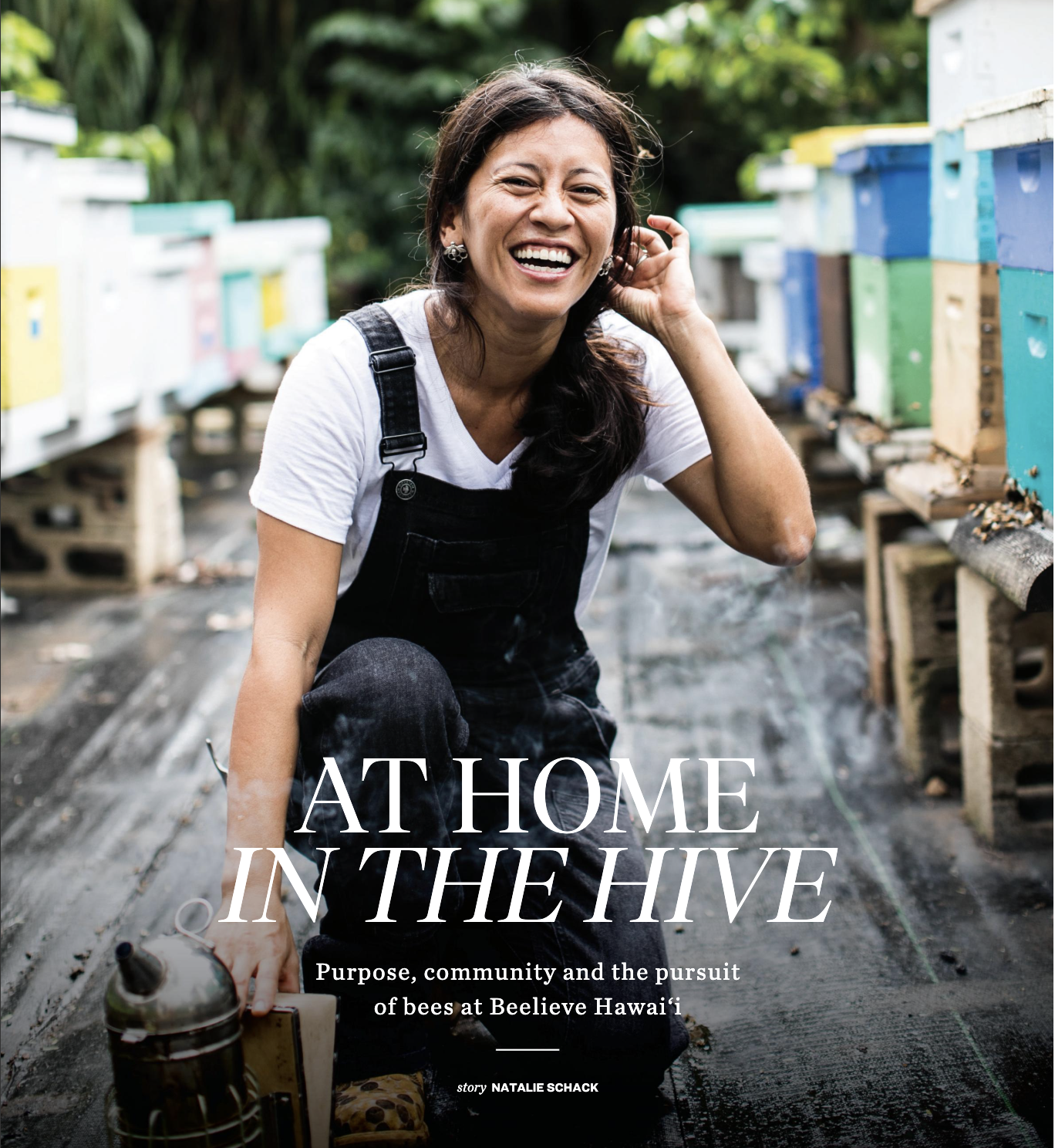 Savvy360: At Home In The Hive