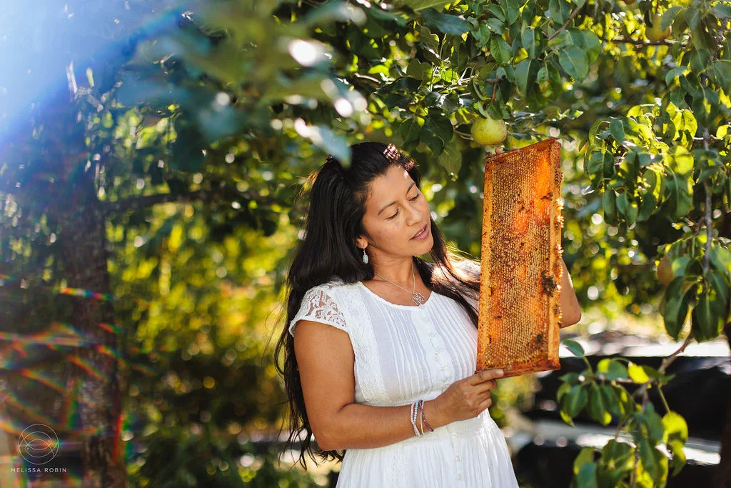 Primal Bee: The Women Shaping the Future of Beekeeping