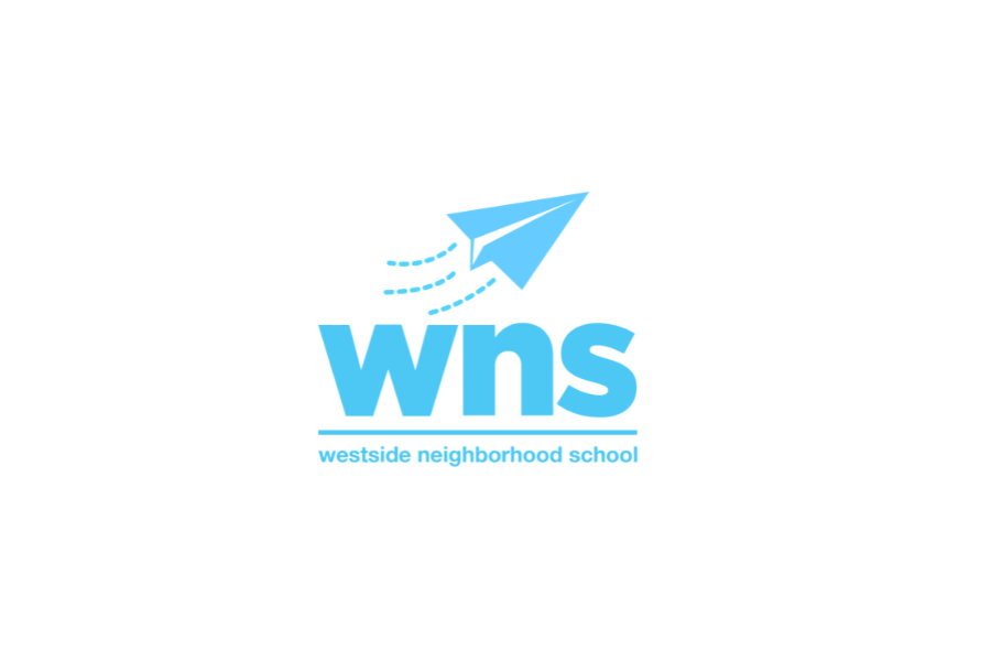wns logo for website.png