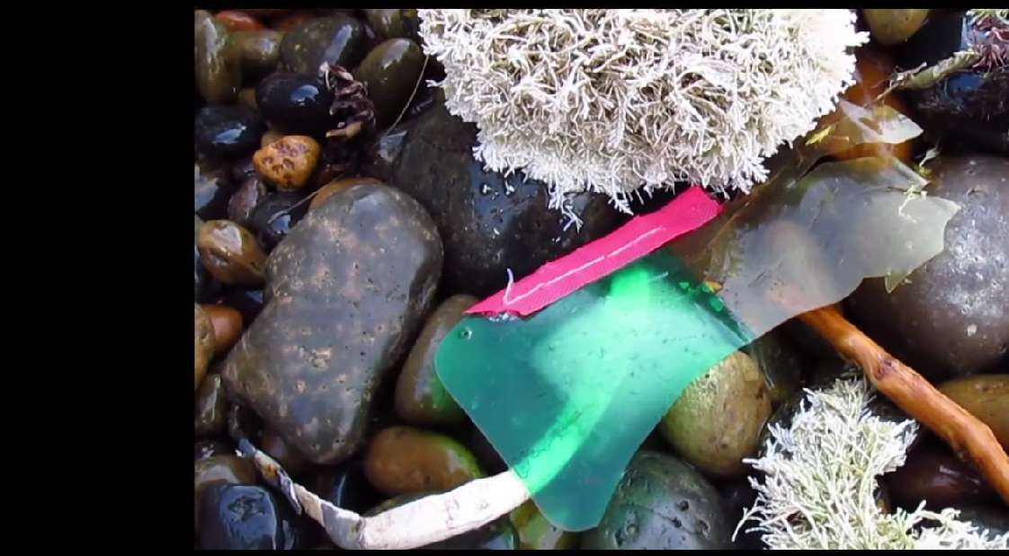 Microplástico y otros videopoemas