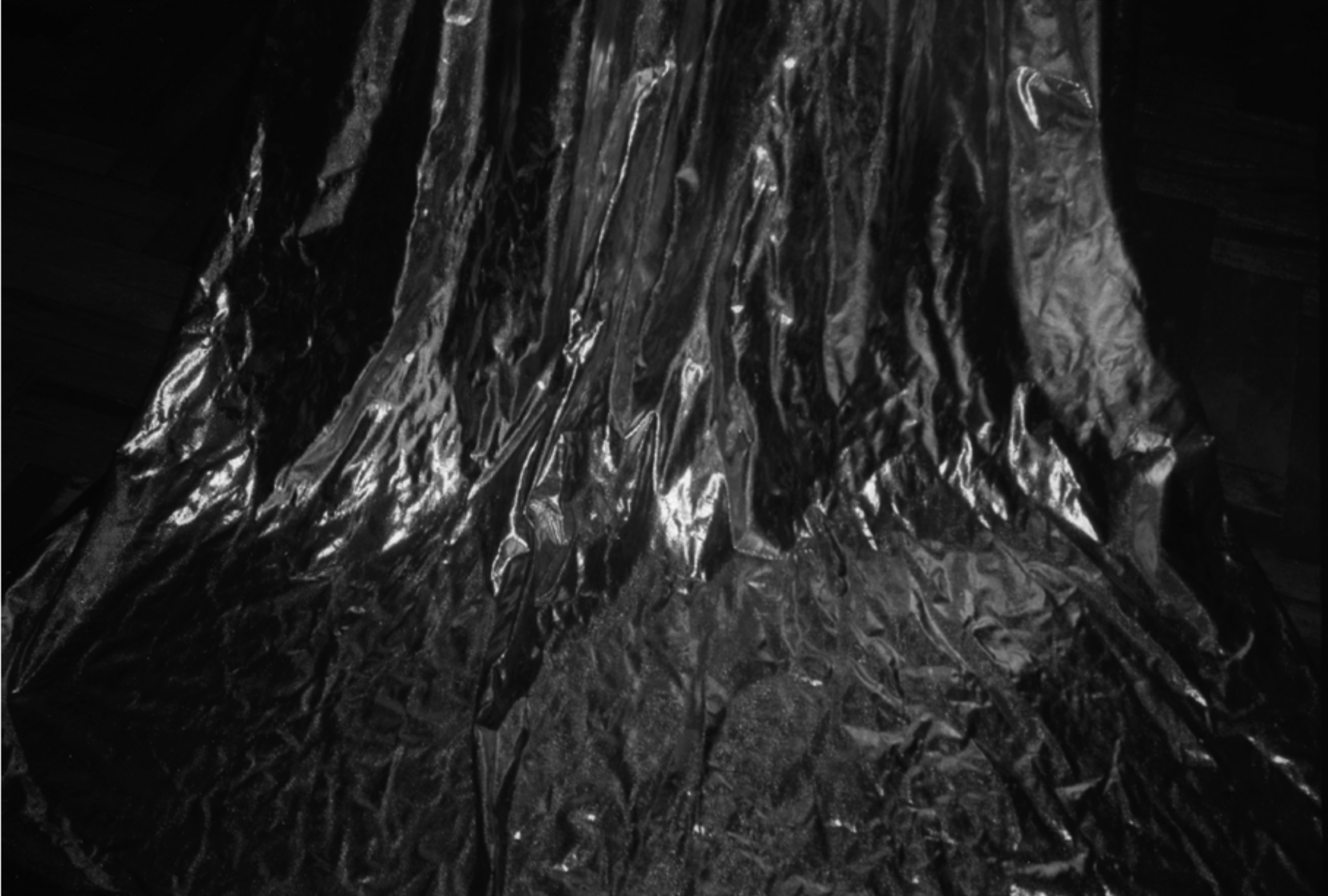 Un árbol no es un árbol Extract[1,3-4,6-7,9] conv 6.png