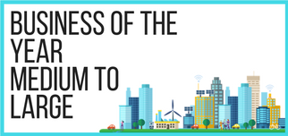 Business of the Year Medium to Large