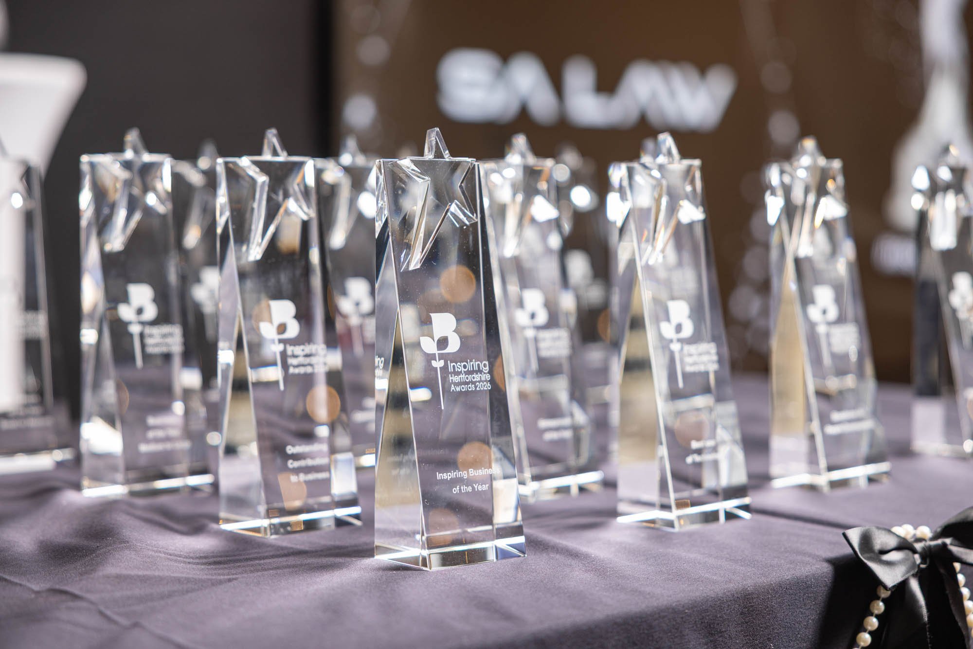 IHA26 - trophies - lweb-7.jpg