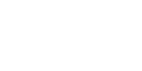 Dragonfly Tea Logo.