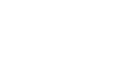 The Fly logo