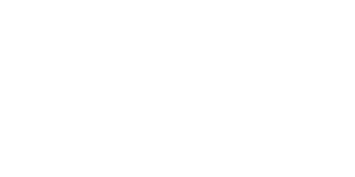 Luii logo
