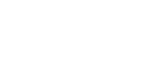 Rapid IT logo