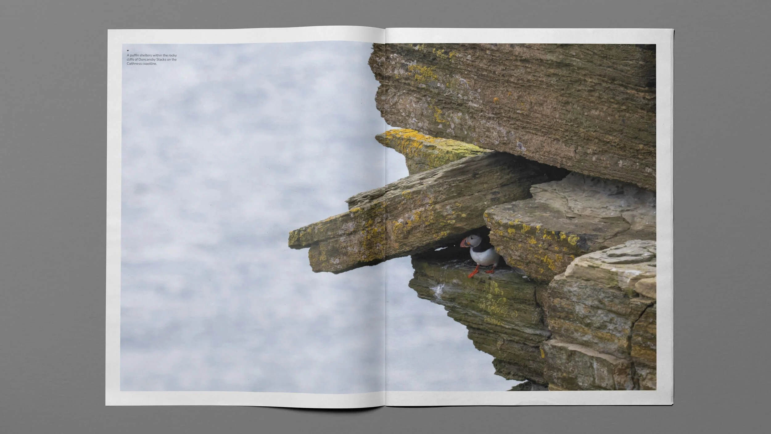 An open spread of a newspaper portfolio.