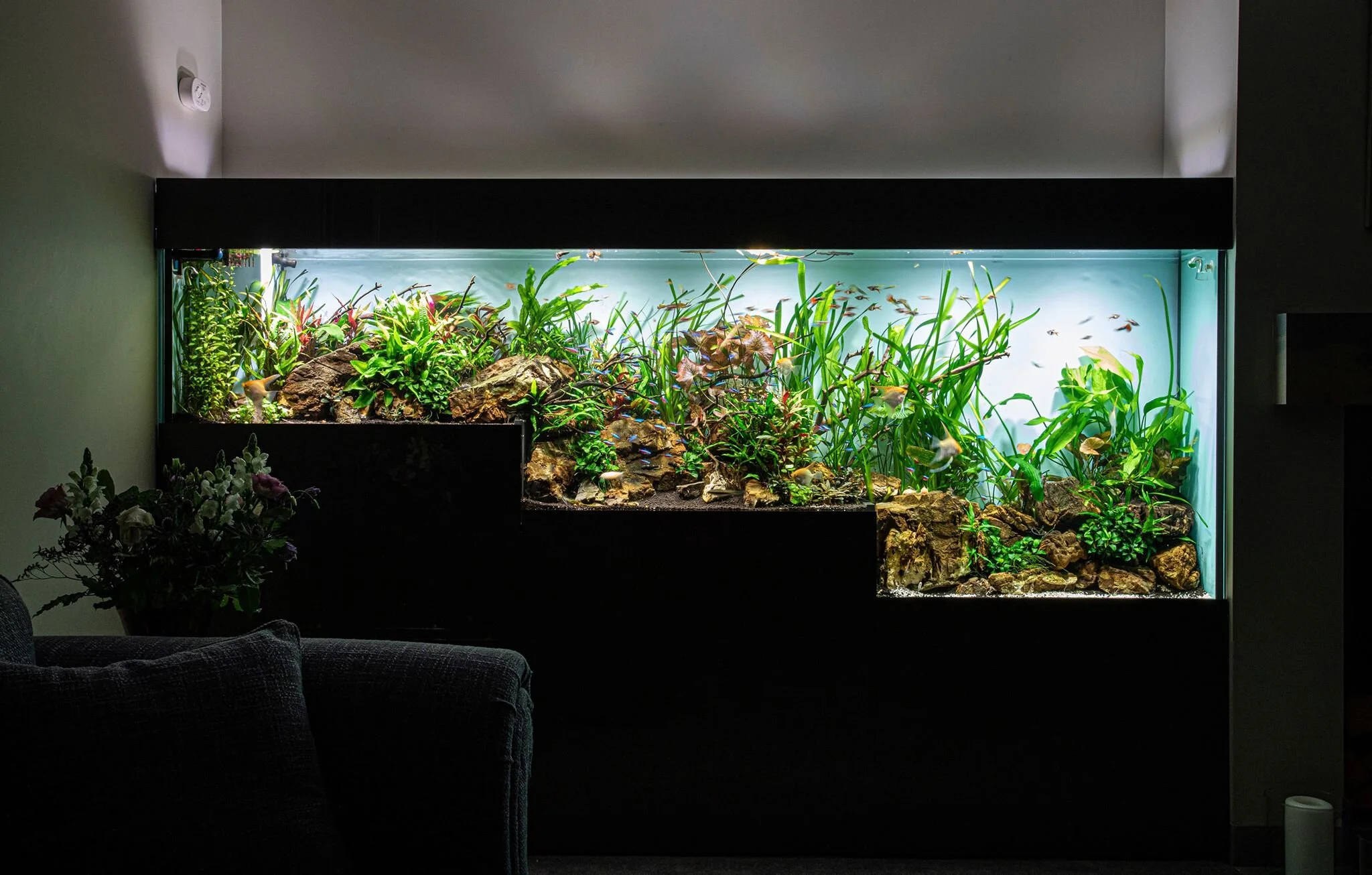 Luxury Aquarium Design and Installation