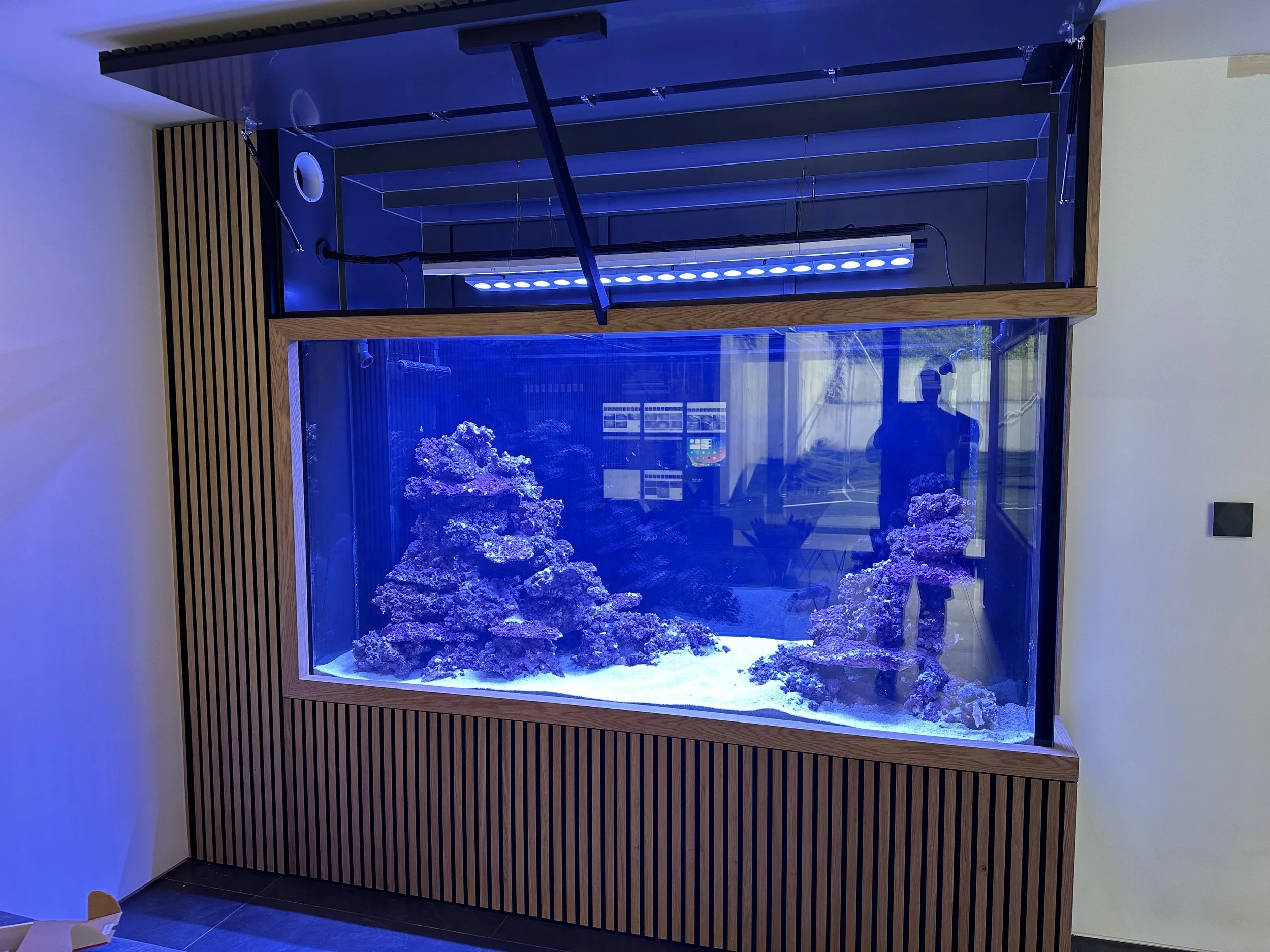 IMG_3373.jpeg