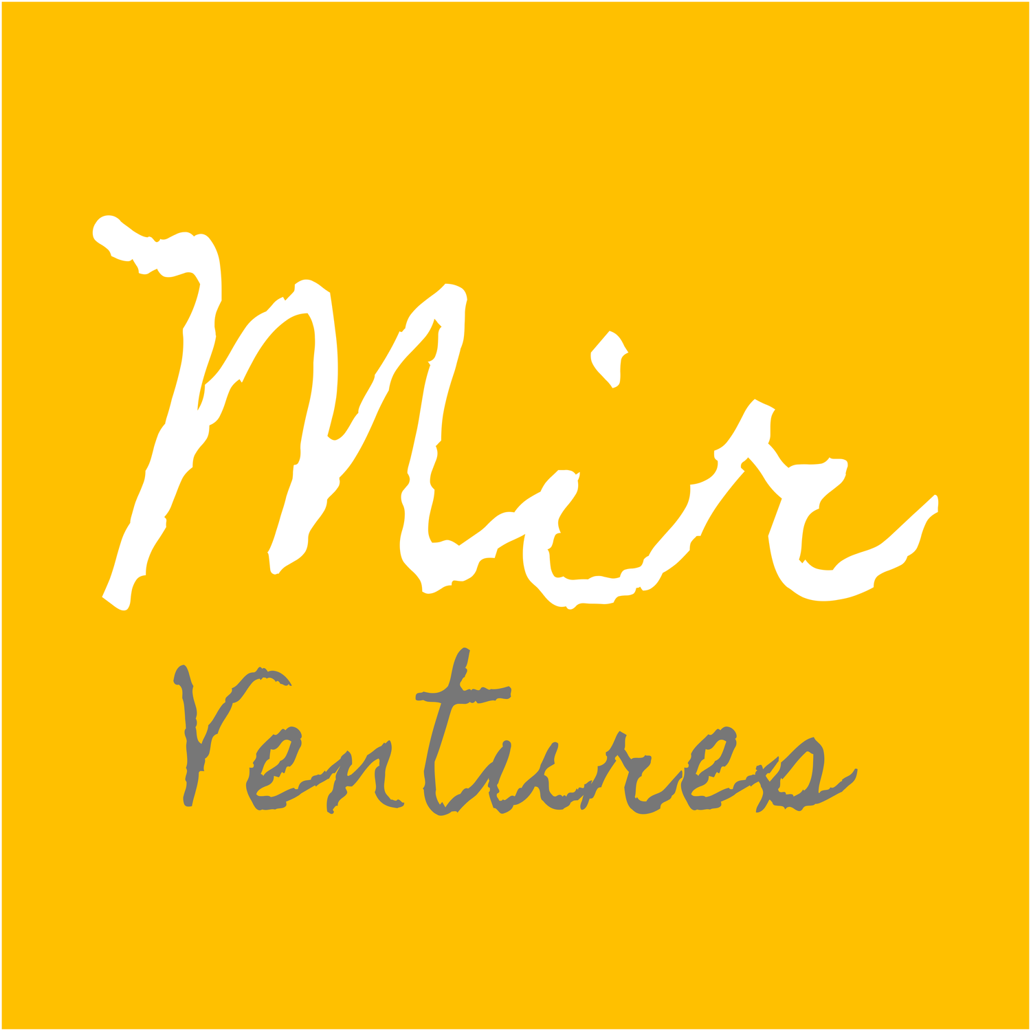 Mir Ventures (a part of Mir Meridian)