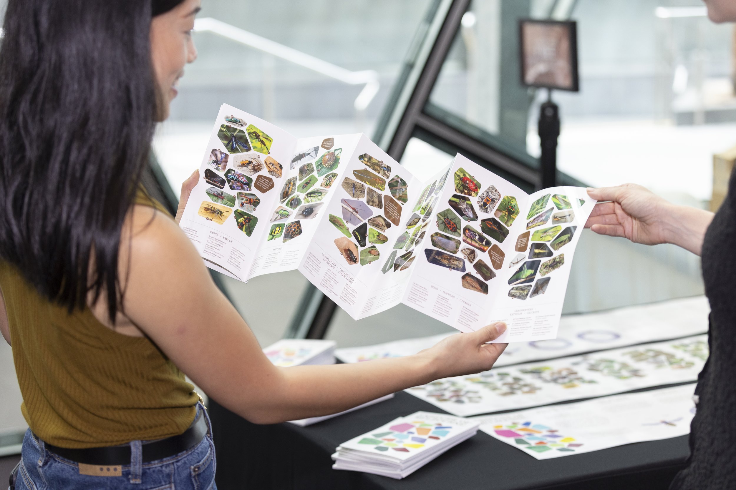 8 CoM - Insects of Melbourne Launch.jpg