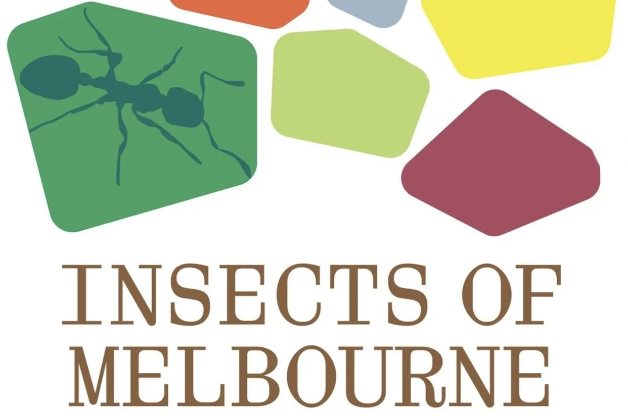 Image 26-2-2026 at 14.57.jpeg