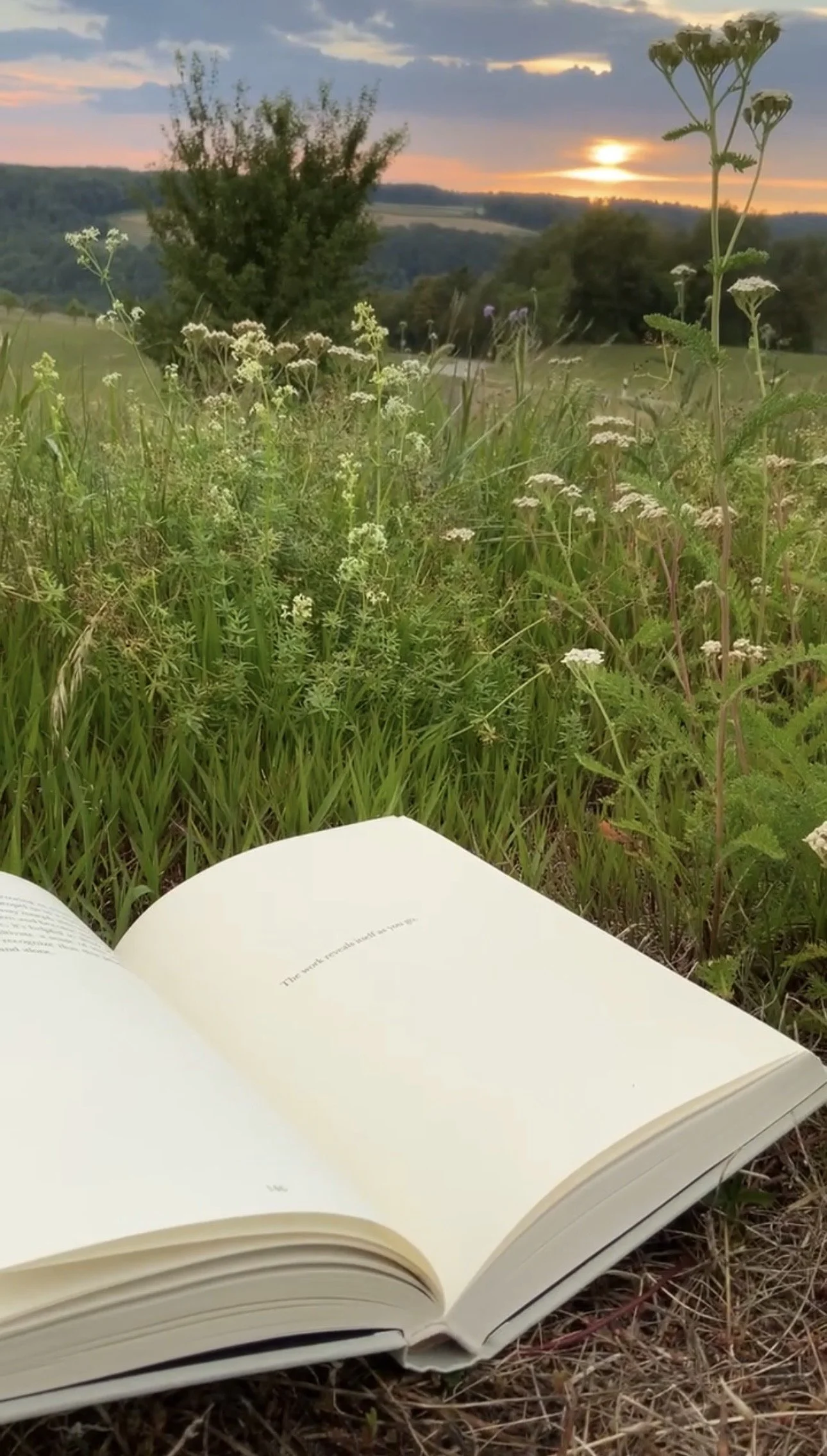 “The work reveals itself as you go” — The Creative Act, Rick Rubin, somewhere in the mountains during a stopover, 2023