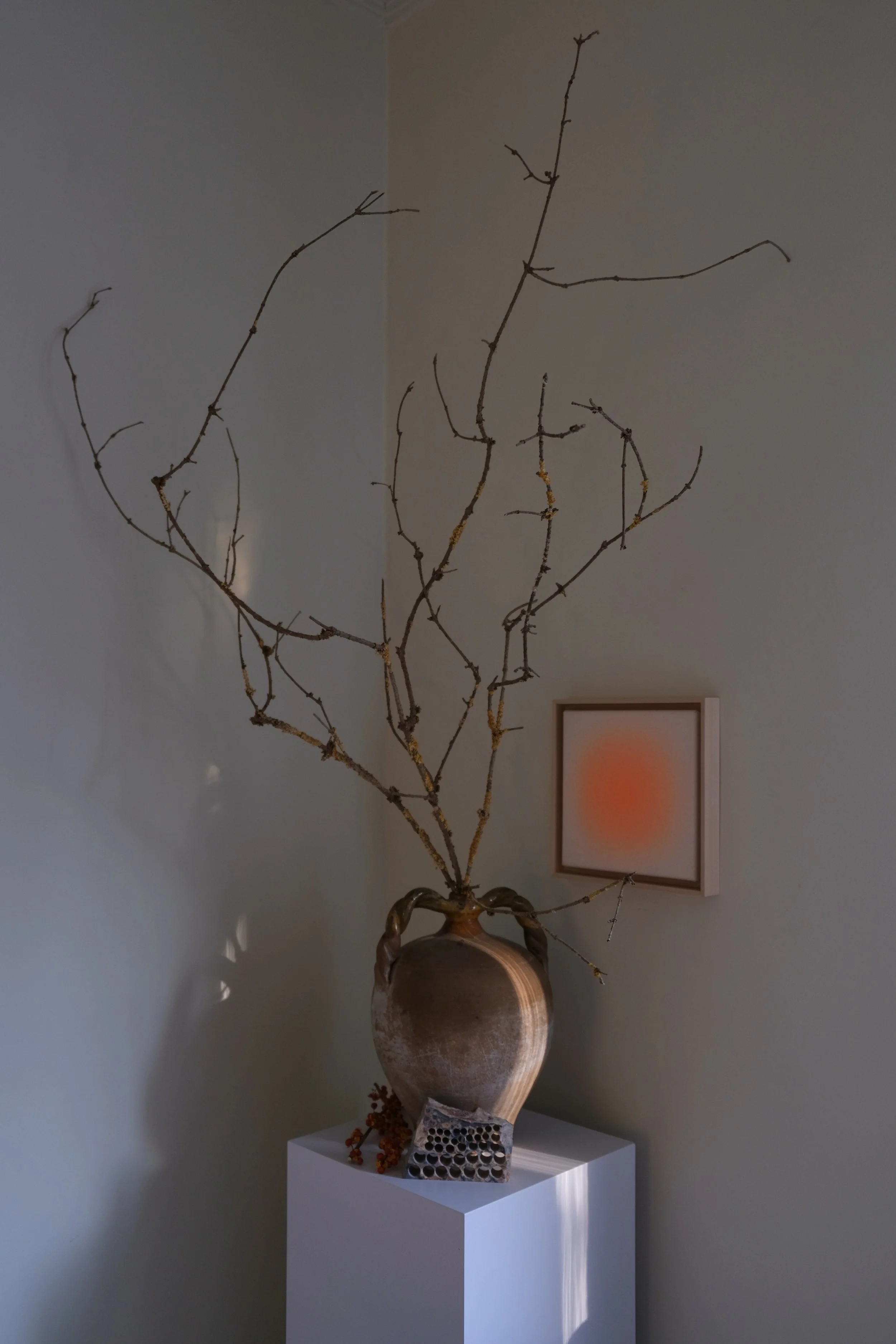 DSCF2594.jpg