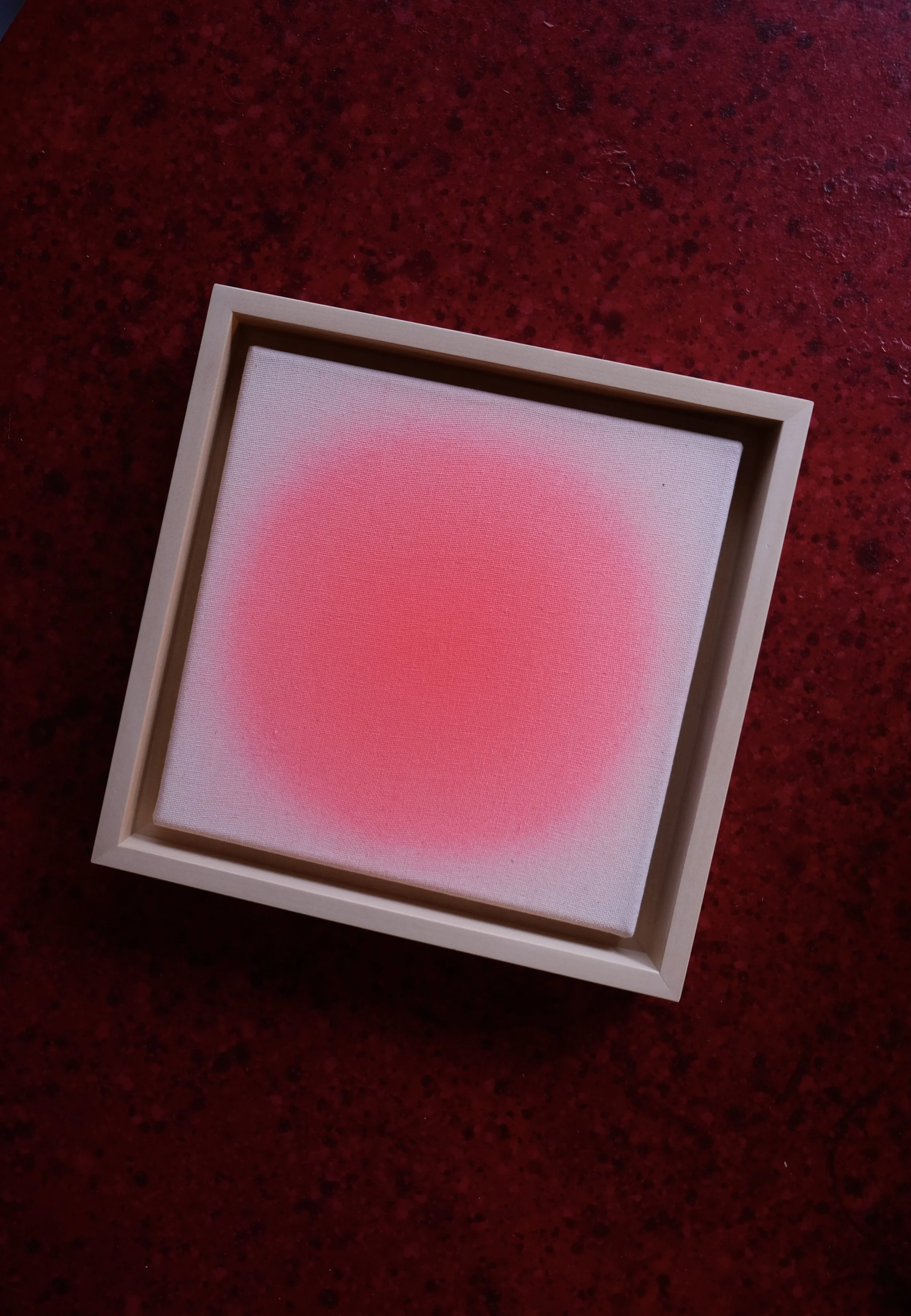sorbet bellini rot, 20 x 20 cm,  2026