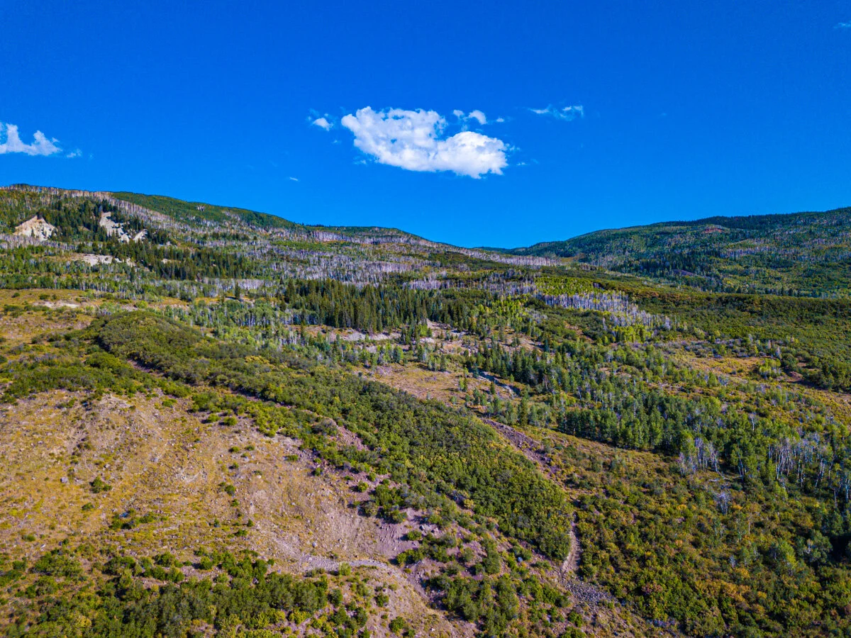 Conservation Easement Blog-1.jpg