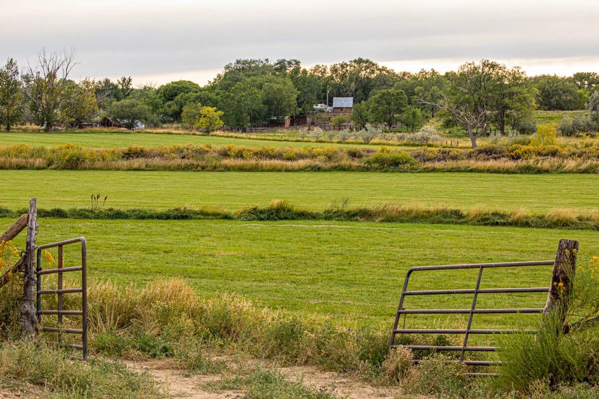 Land Investment Article-1.jpg