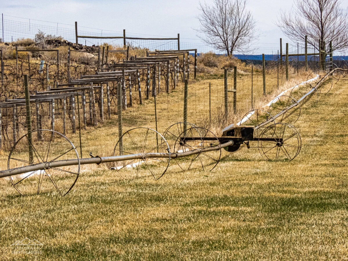 Irrigation Method in Western Colorado-1.jpeg