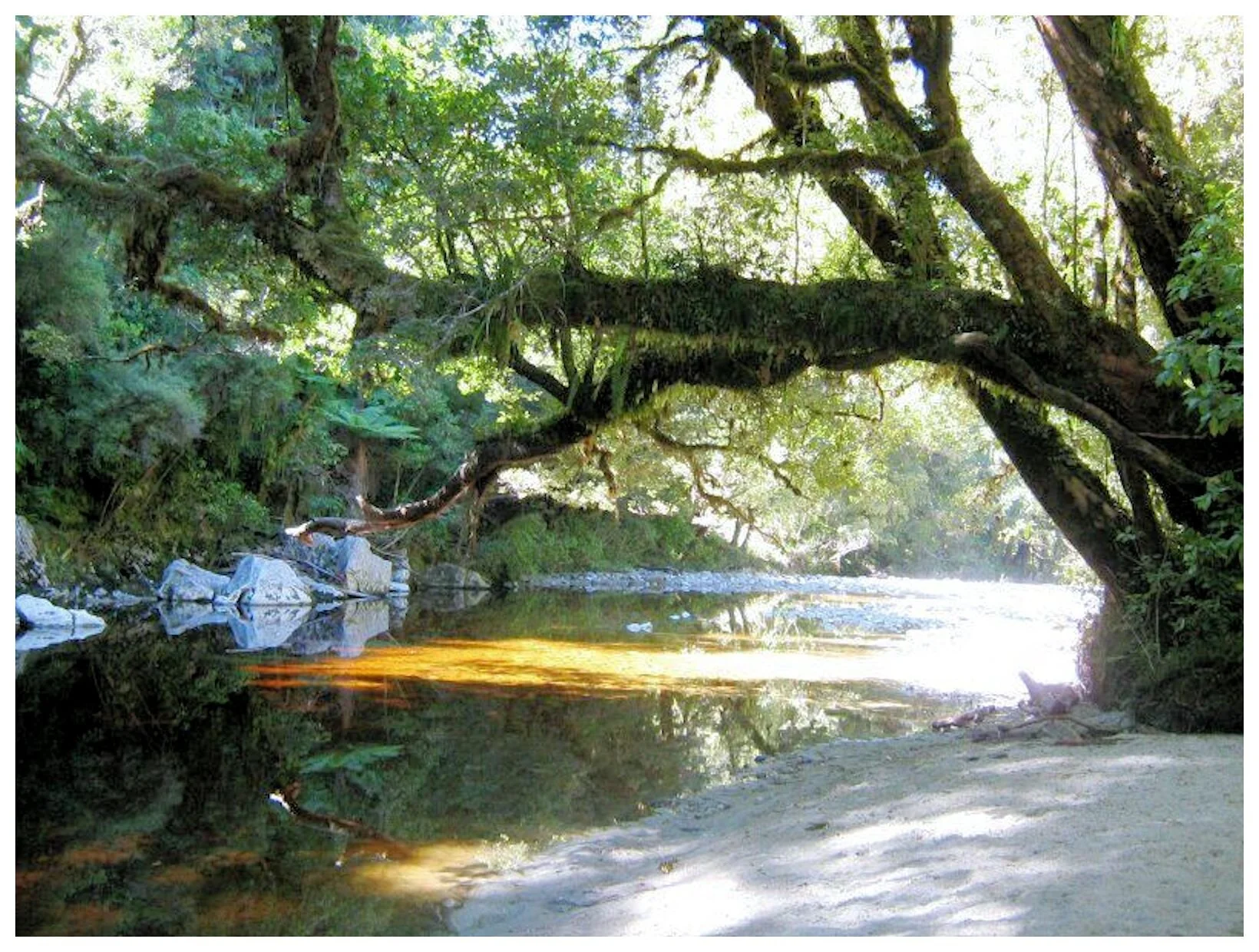 oparara-basin_5comp.jpg