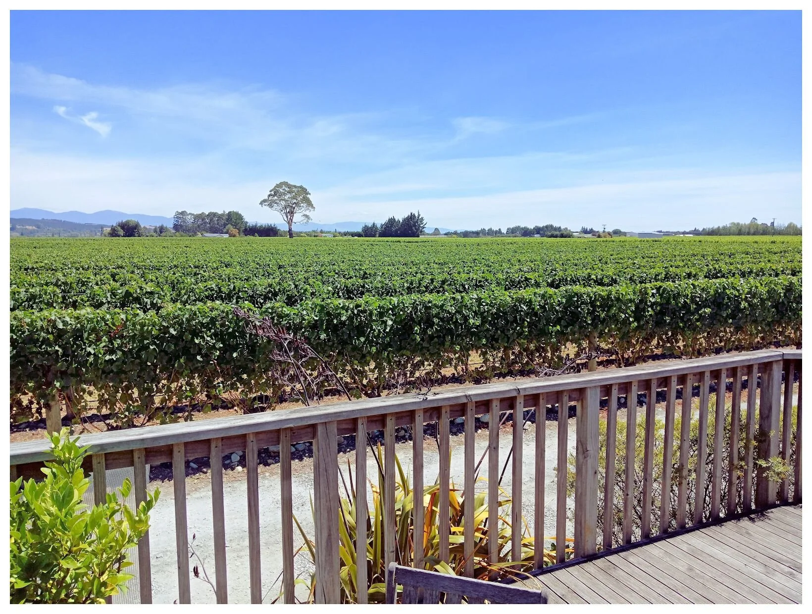 Brightwater Cellar Door 3comp.jpg