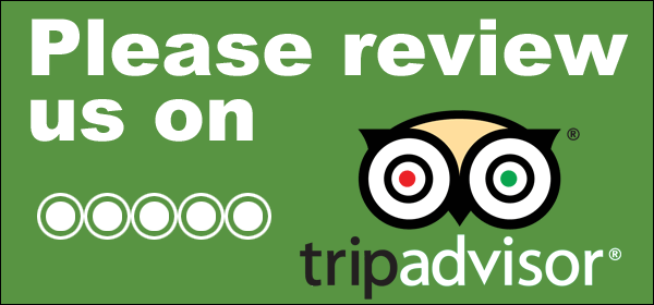 review-us-on-tripadvisor.png