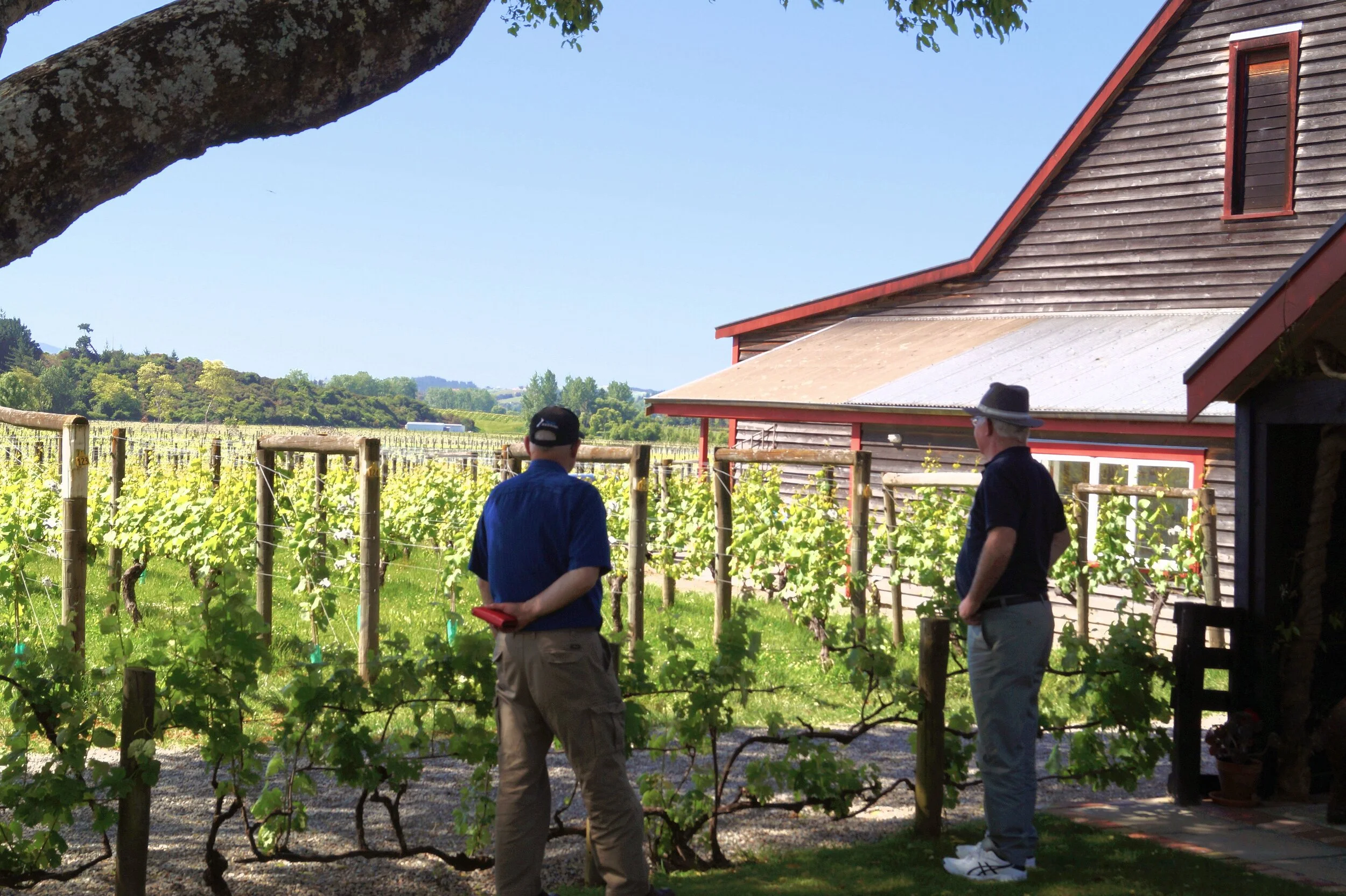 Exploring the Nelson Tasman region