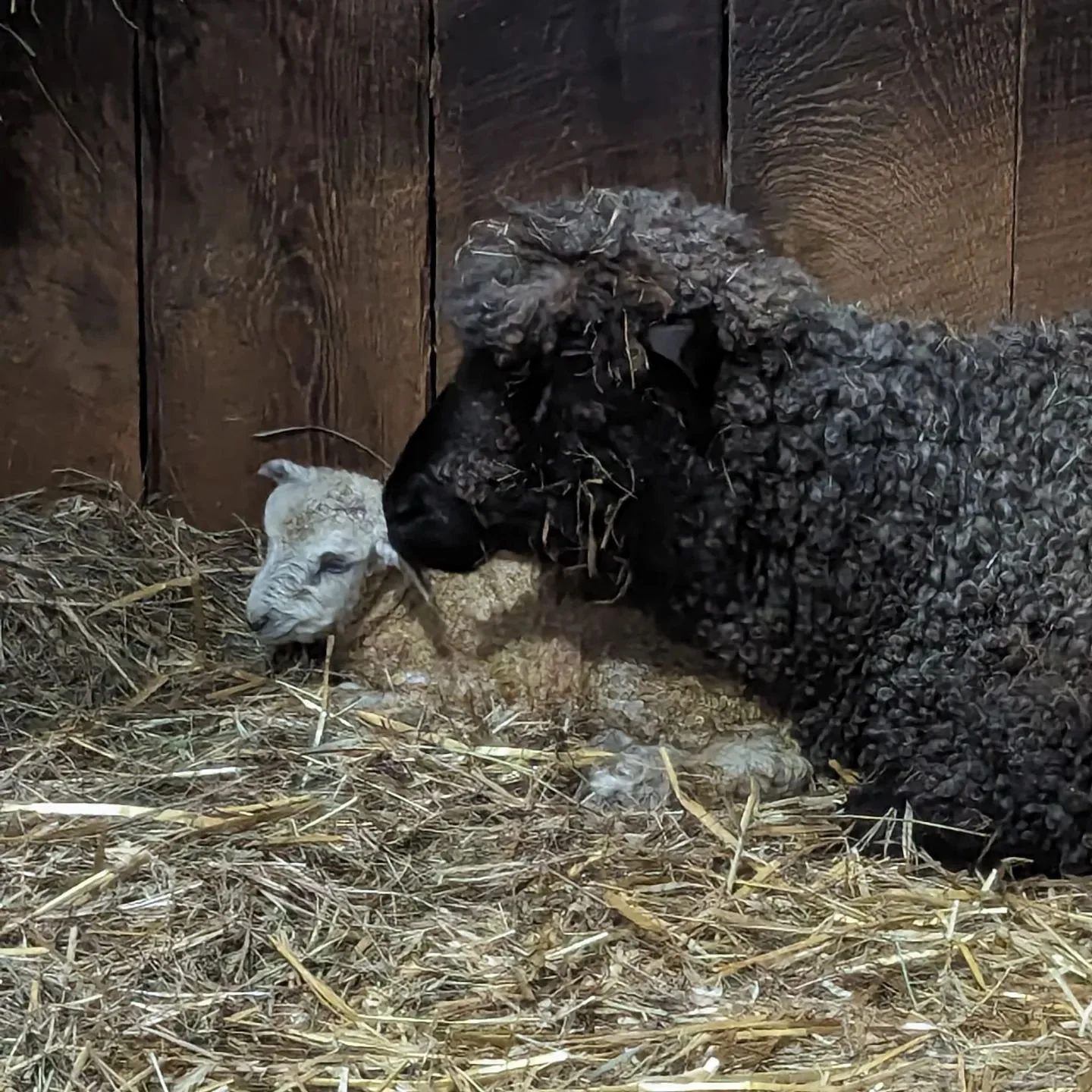 This made a really shitty week, pretty amazing. β€οΈ