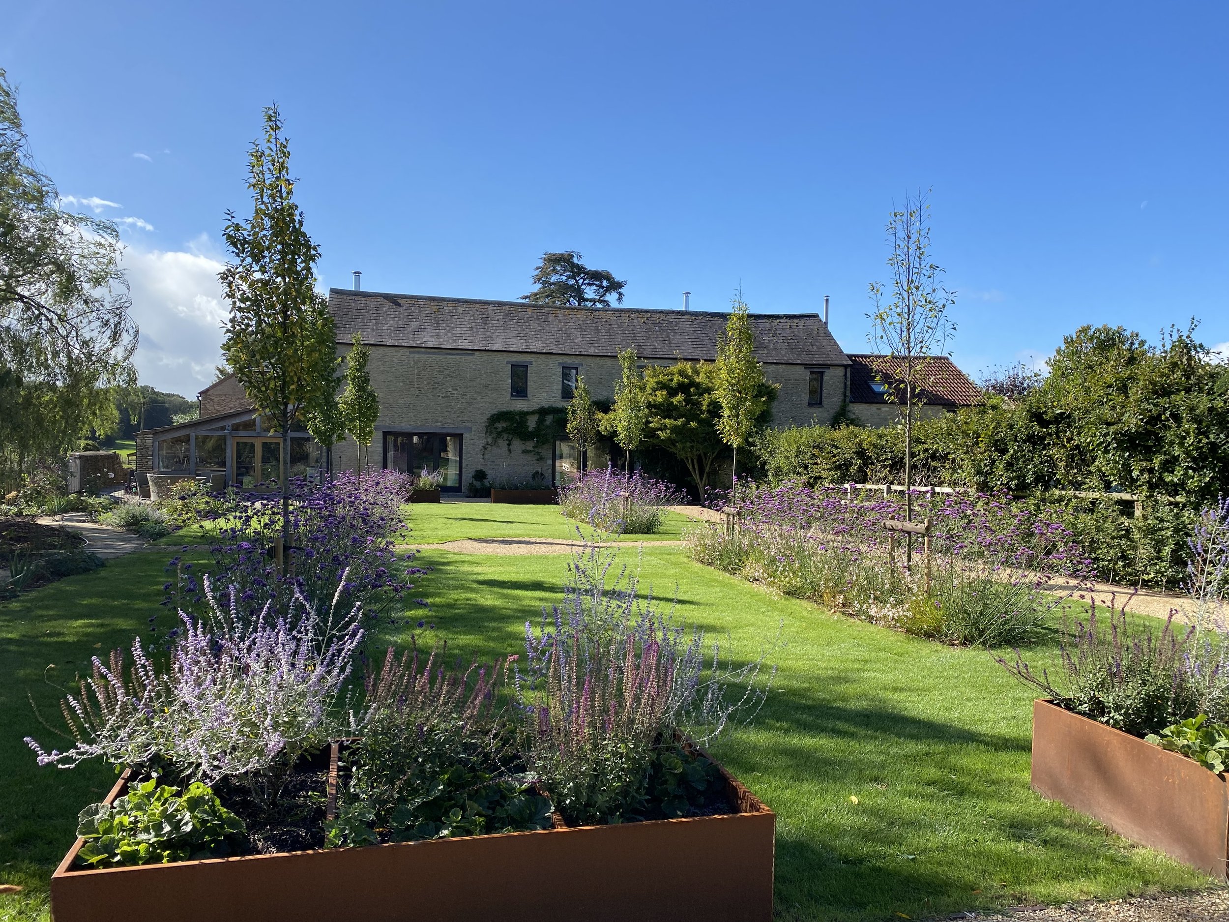 Corton steel planters and hornbeam beds