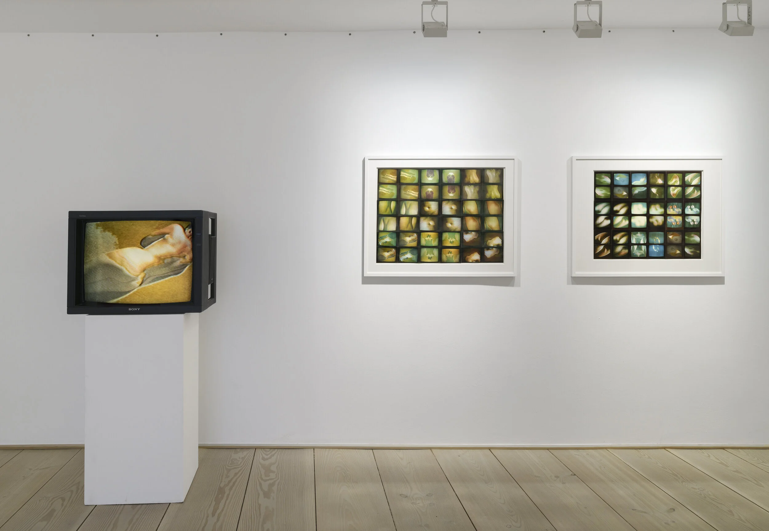 KörperLandschaft (video), KörperLandschaft (video stills), KörperErinnerung (video stills)