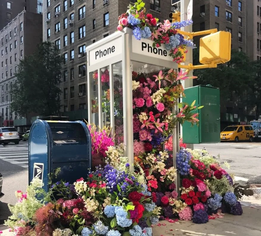 Flower Flash: Lewis Miller Design