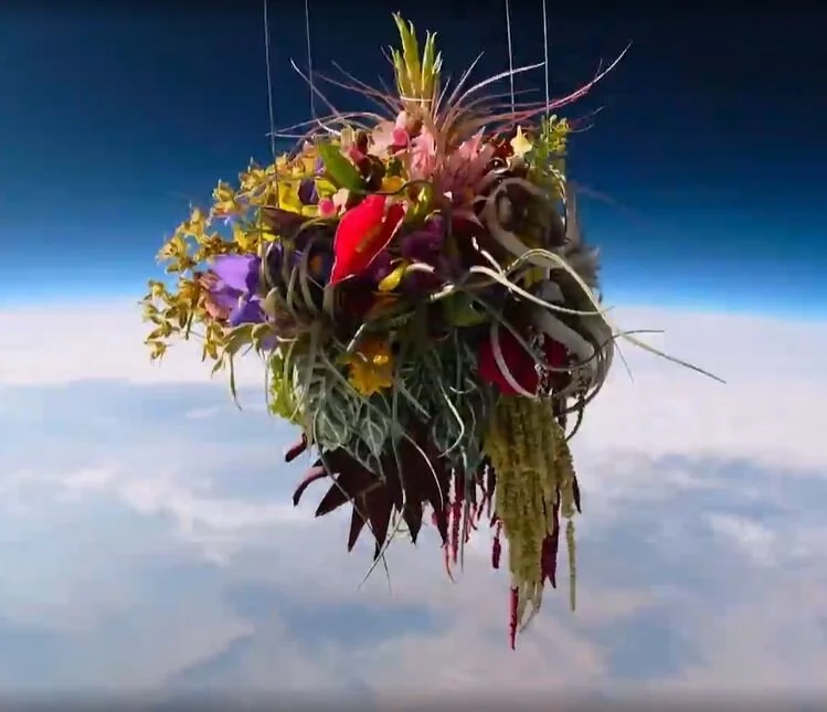 Azuma Makoto: Flower Punk