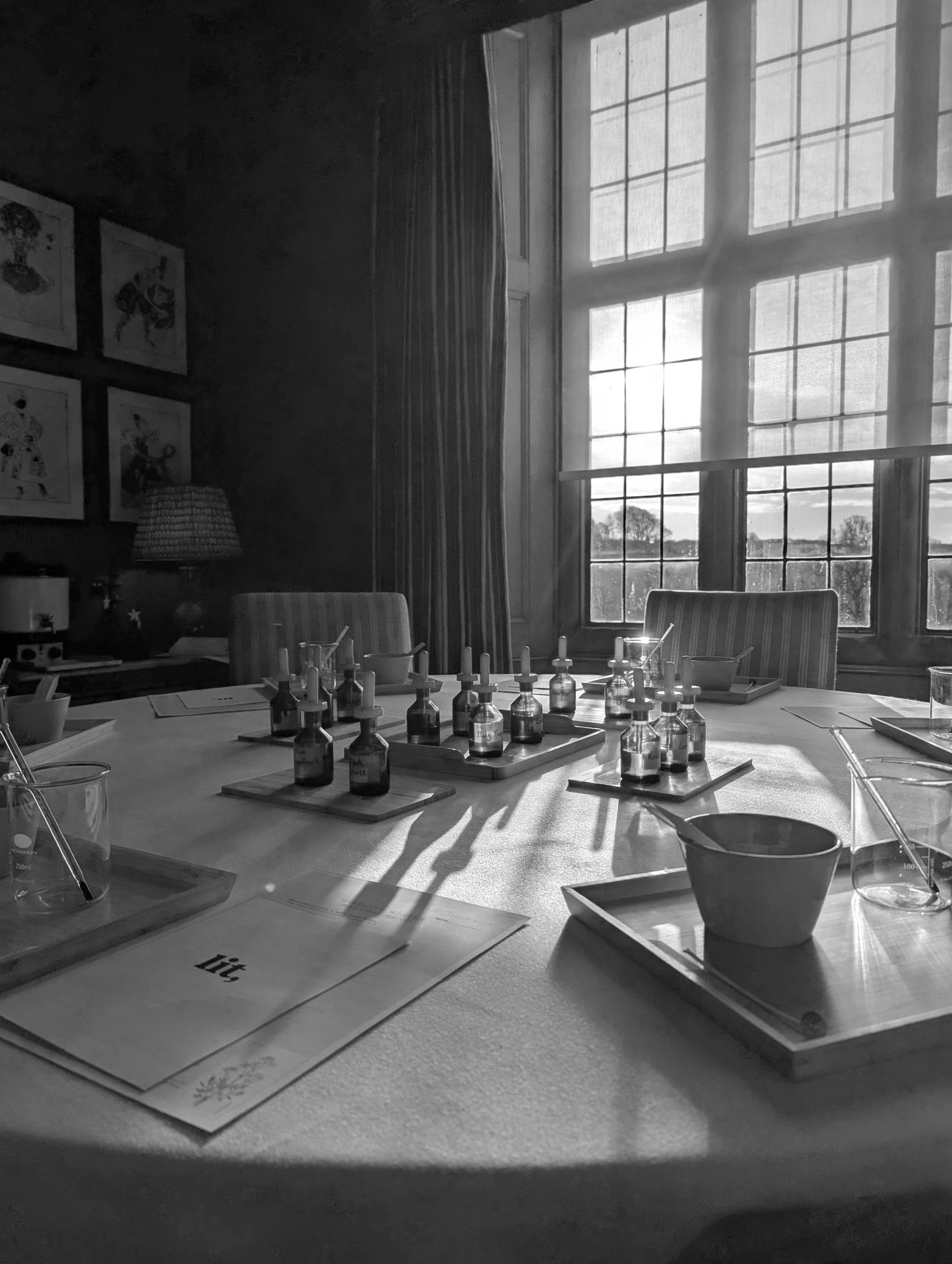 Table with amber dropper bottles and trays in a sunlit room with large windows and artwork on the wall.