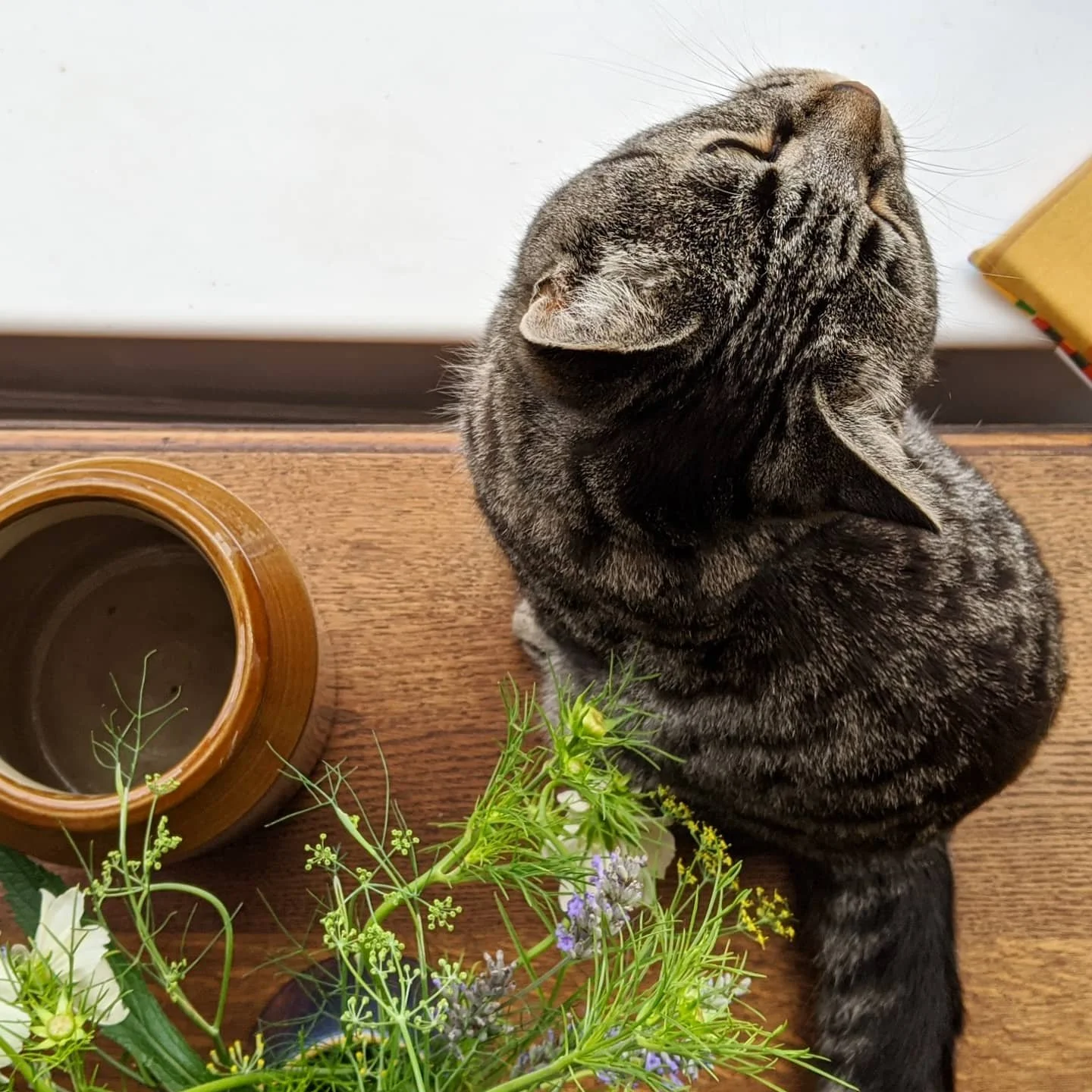 A tabby cat sat on a wooden table next to a vase of flowers.