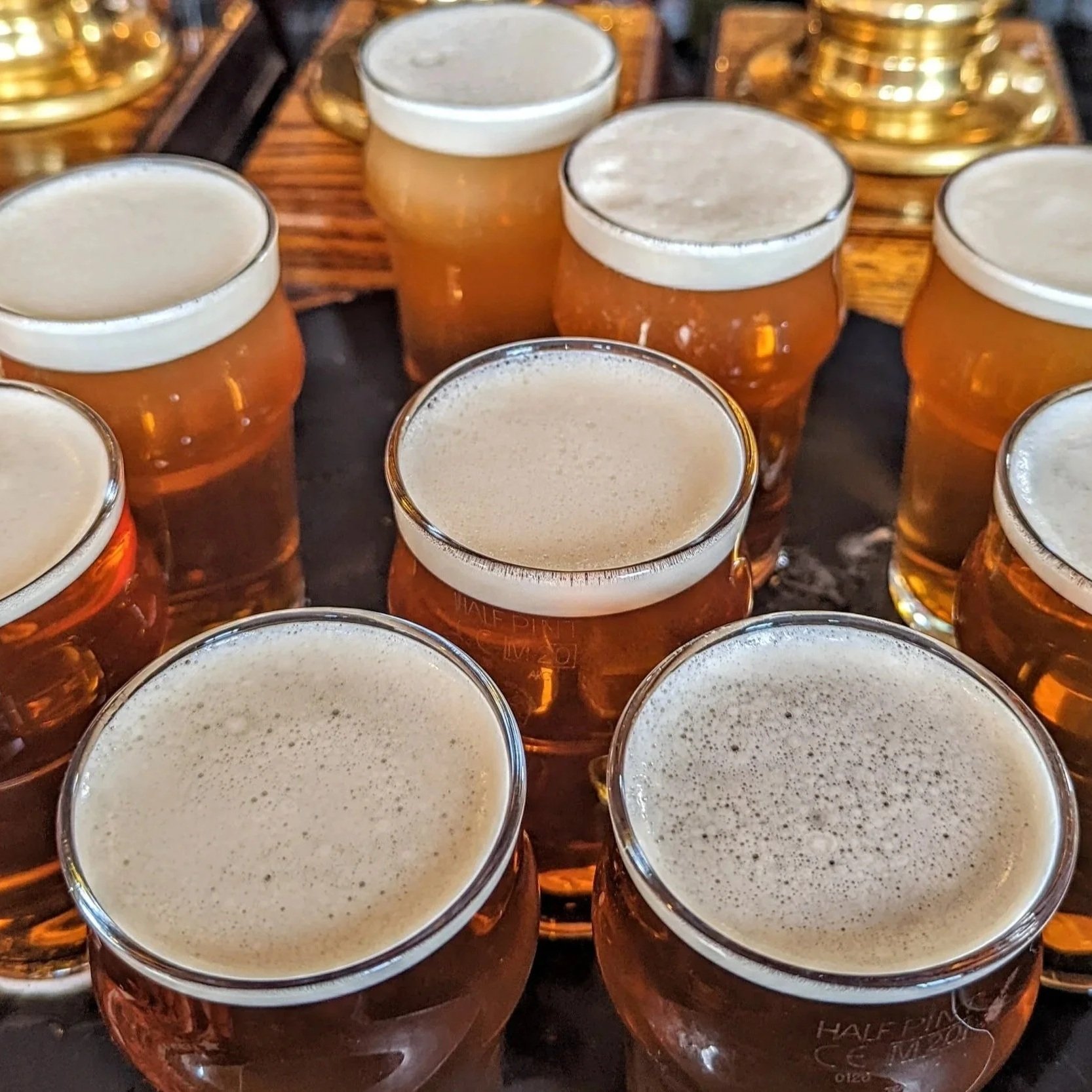 A tray of several glasses of beer with foamy heads.