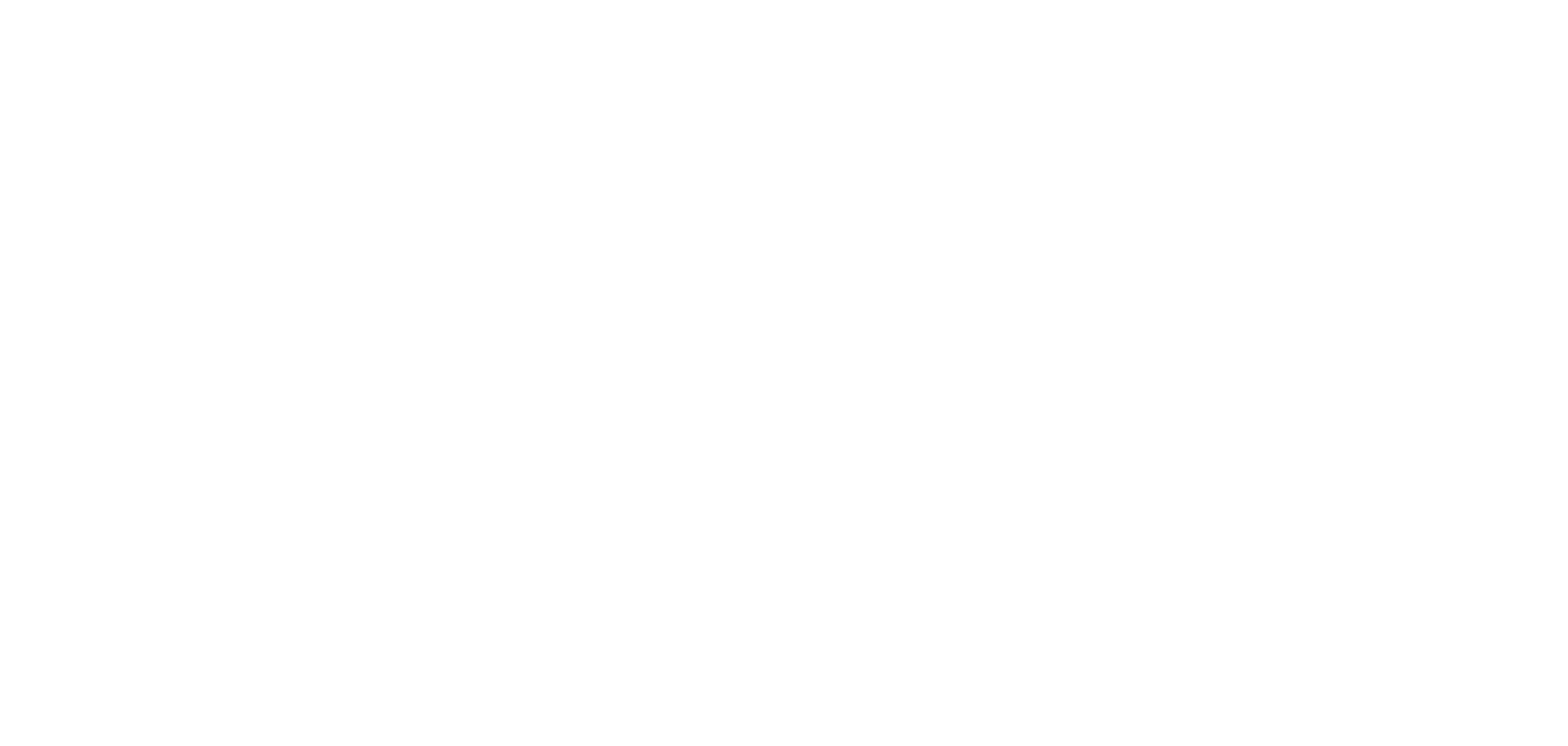 Twin Brother&#39;s Pizza